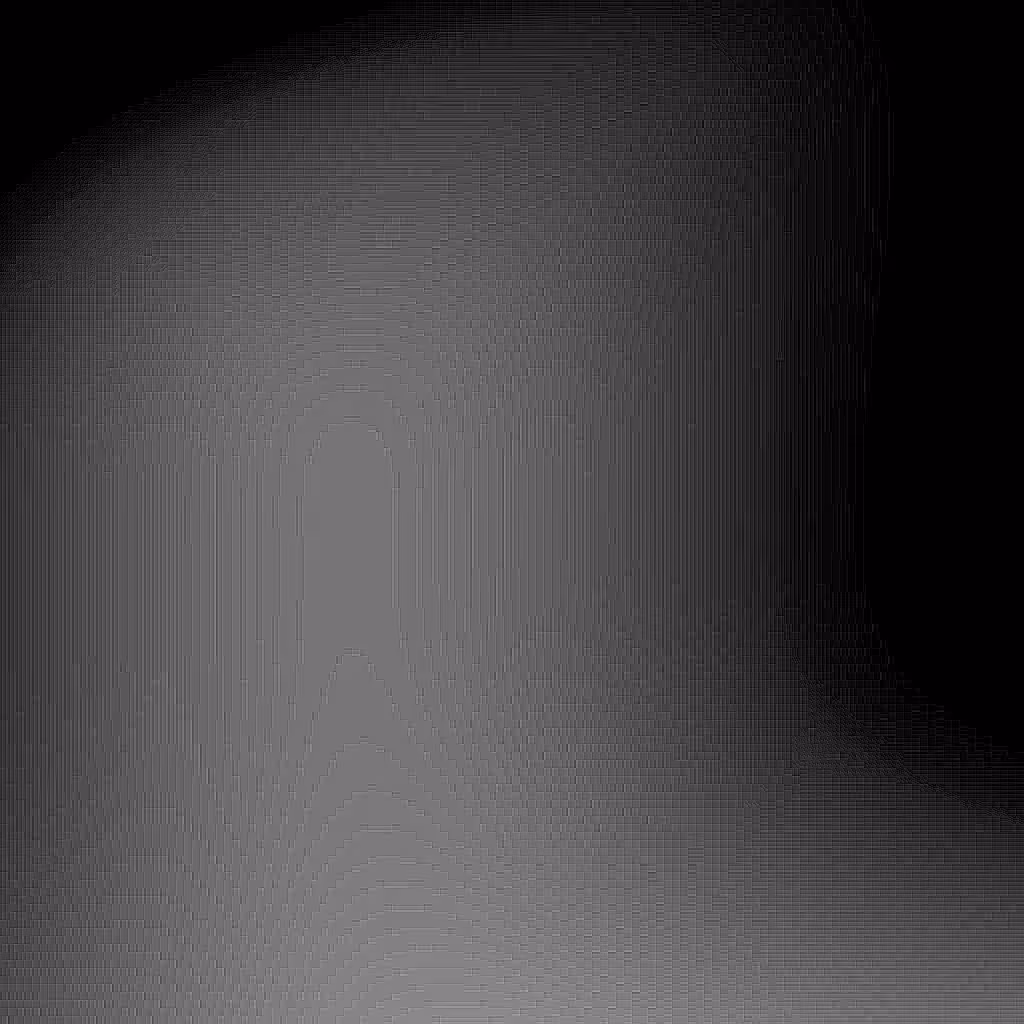 HIDDEN IN NOISE: Noise #735 