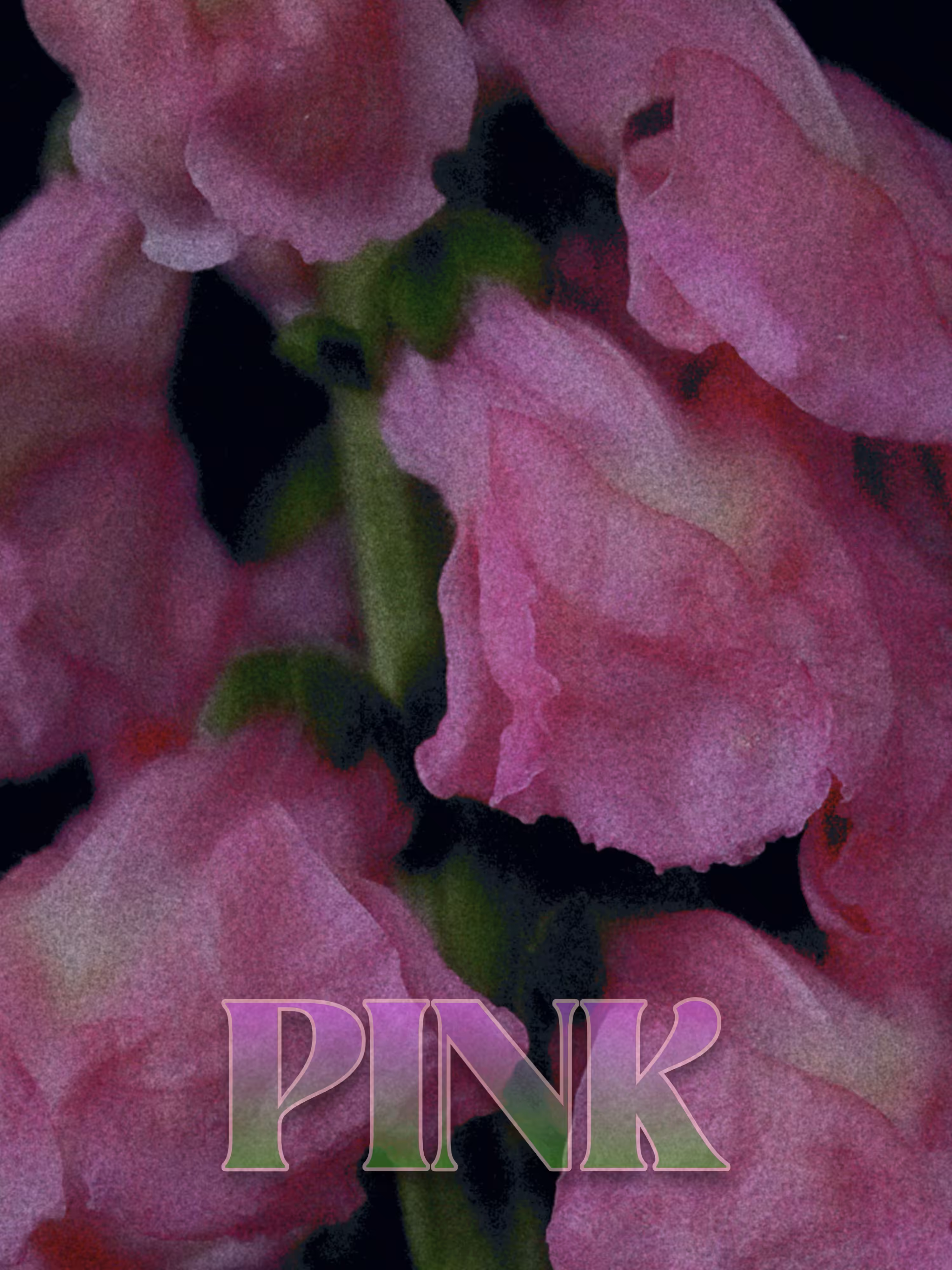 Rodeo post #545: a [pink] change on the theme