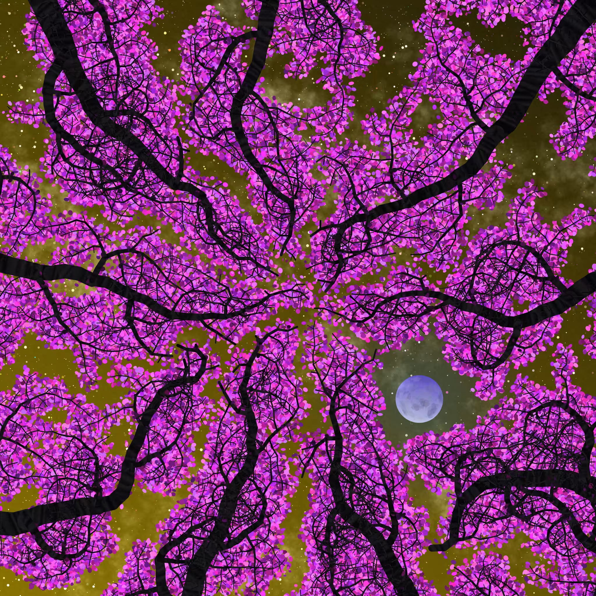 Tree Skyness #169