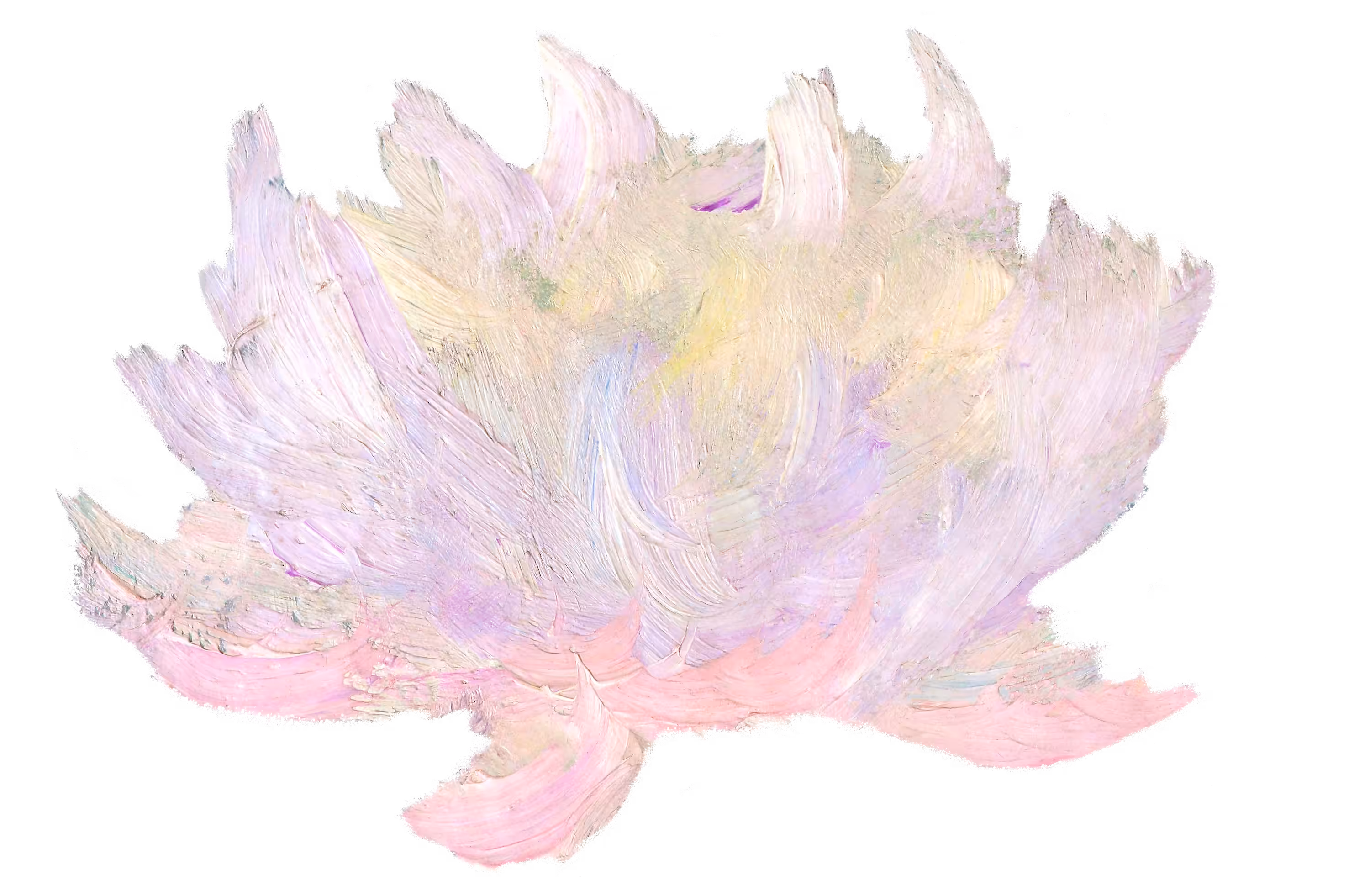 Violet Bloom