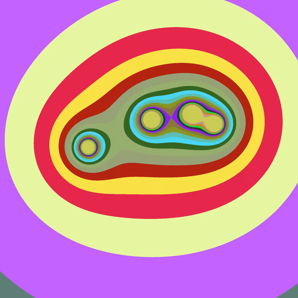 Mitosis #5