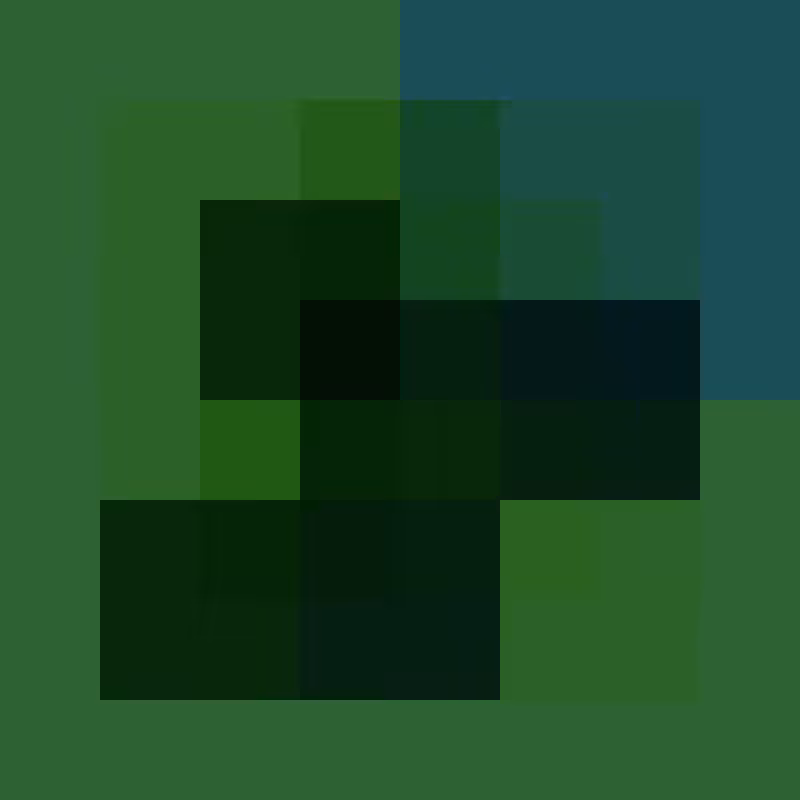BLEND #343