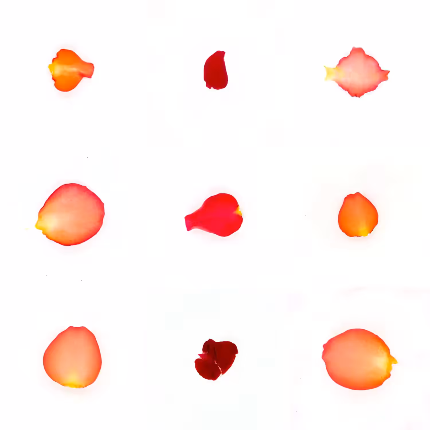 Infinite Petals 3x3#386