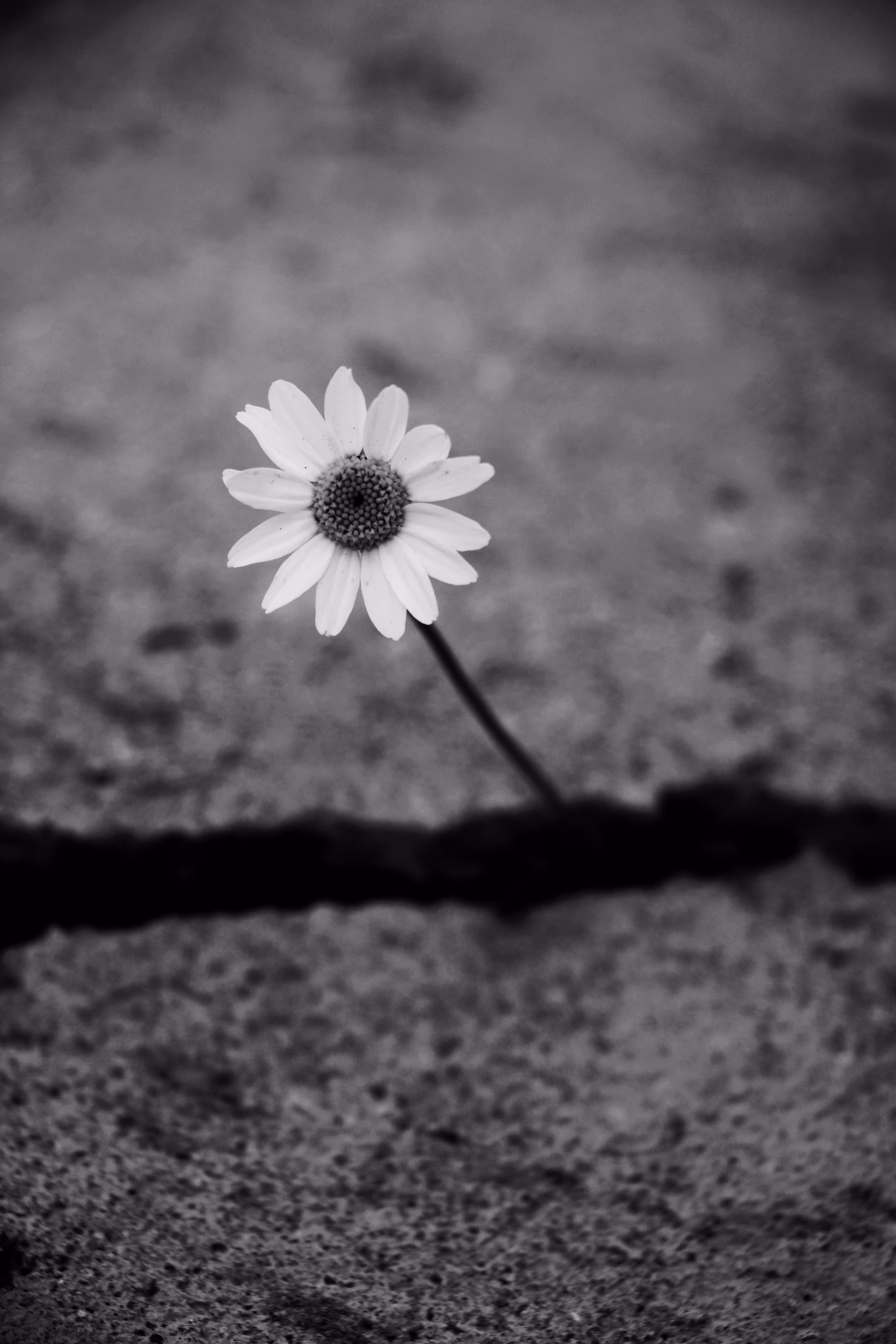 Alone, Yet Alive
