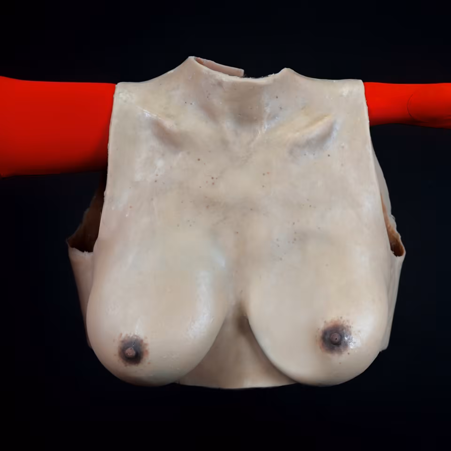 THESE ARE NOT $BOOBS