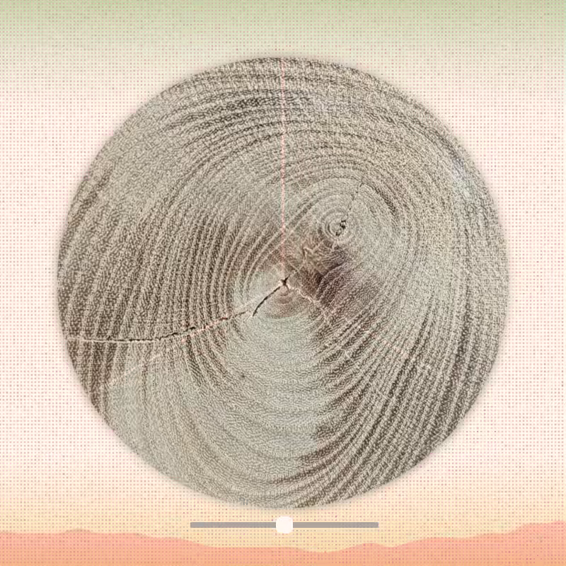 Tree ring waltz #6