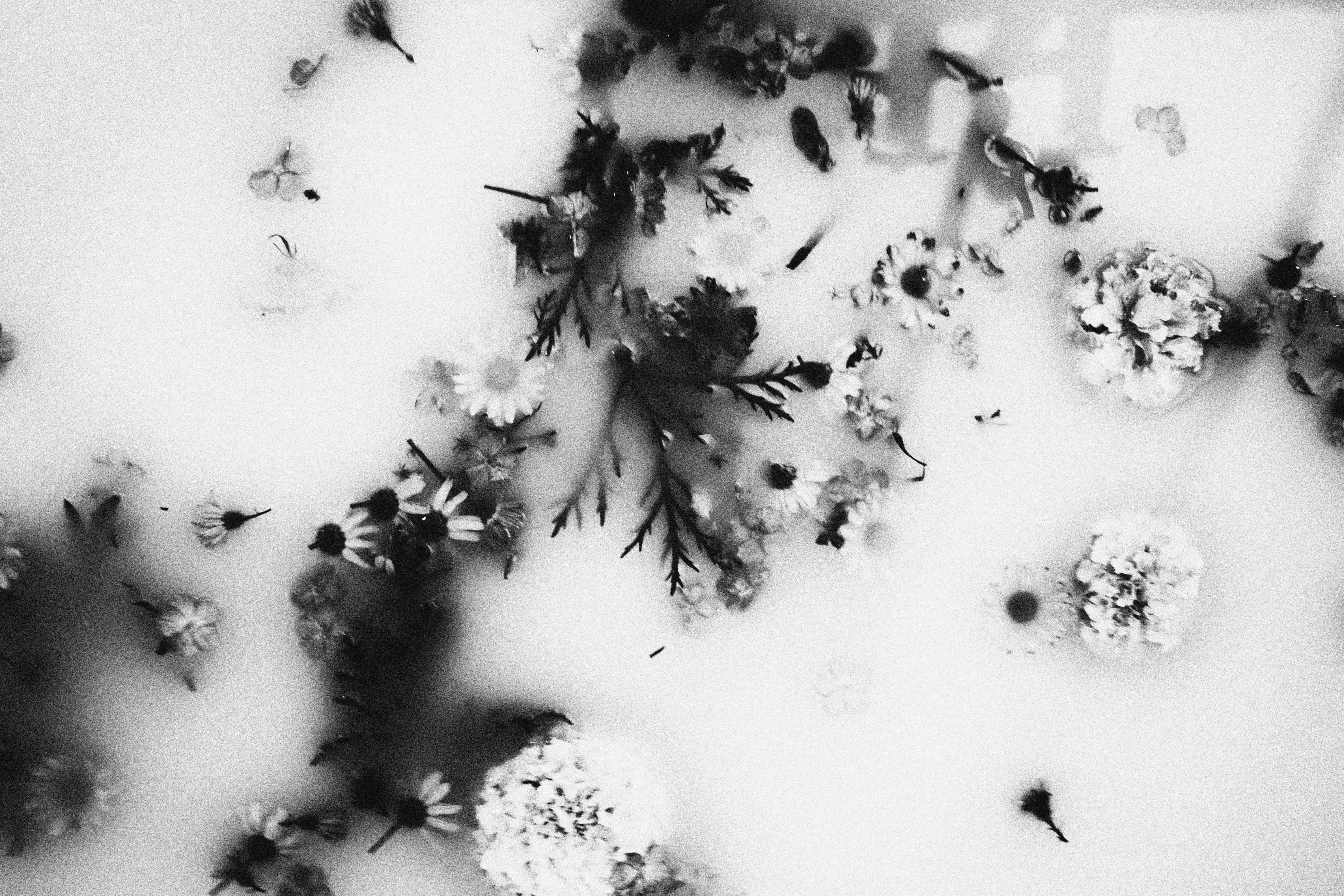 Milk & Flower