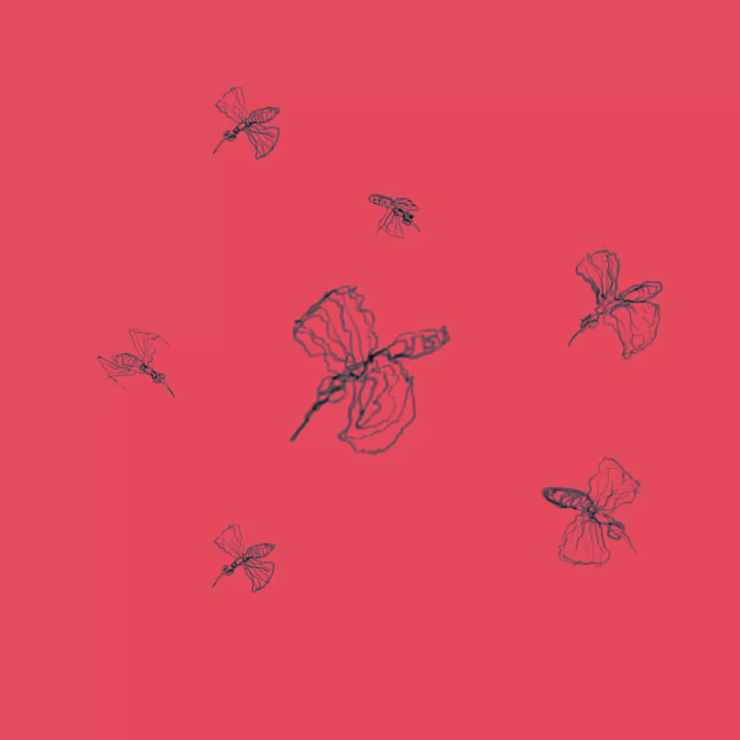 Dengue Fever
