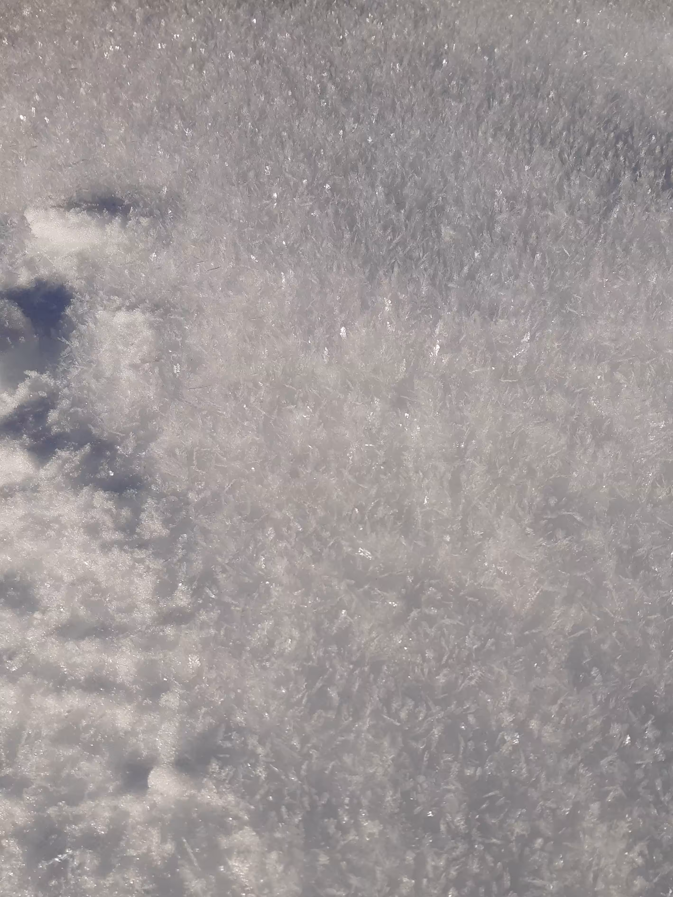 De la Neige en été #6