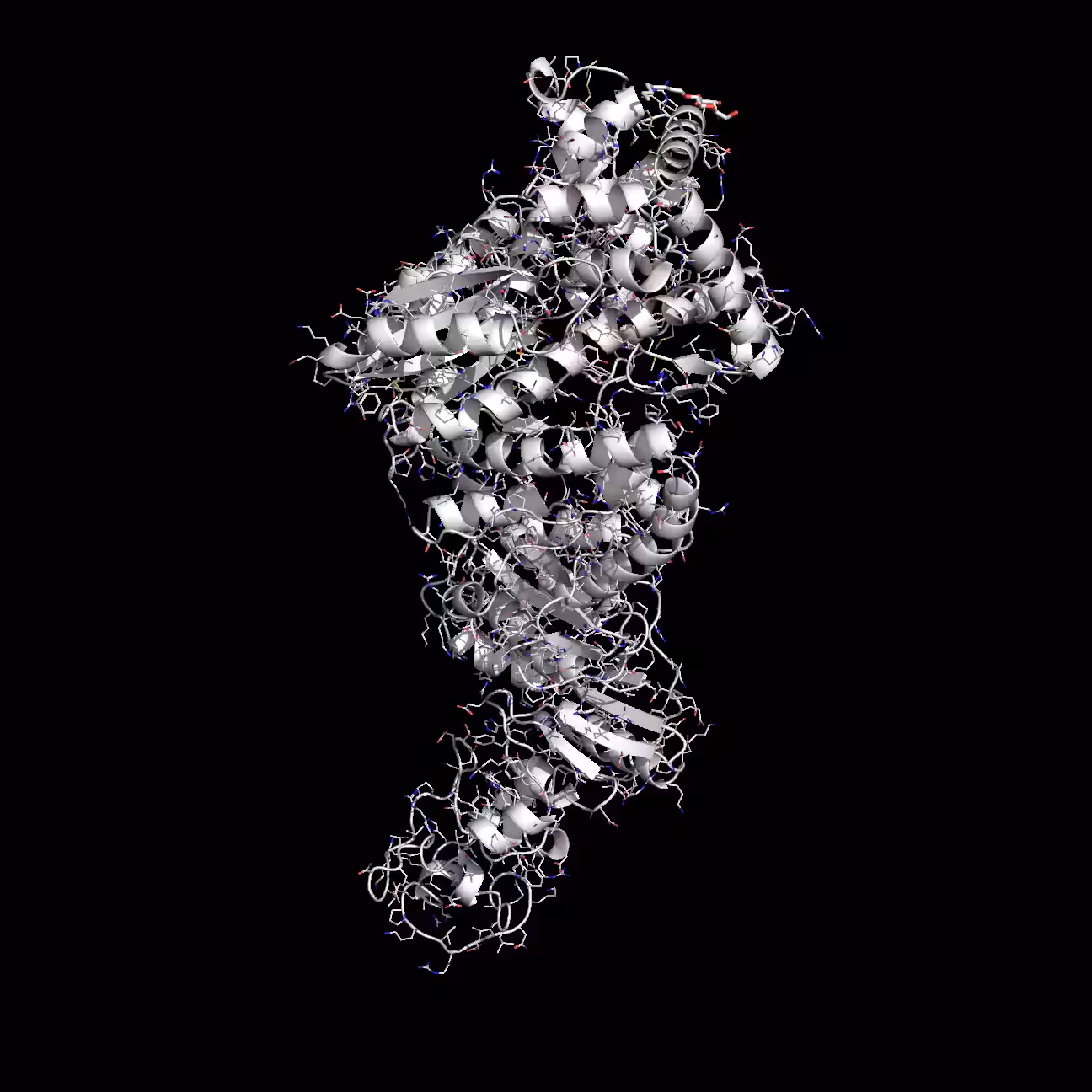 Prime Time – Taq polymerase diamond