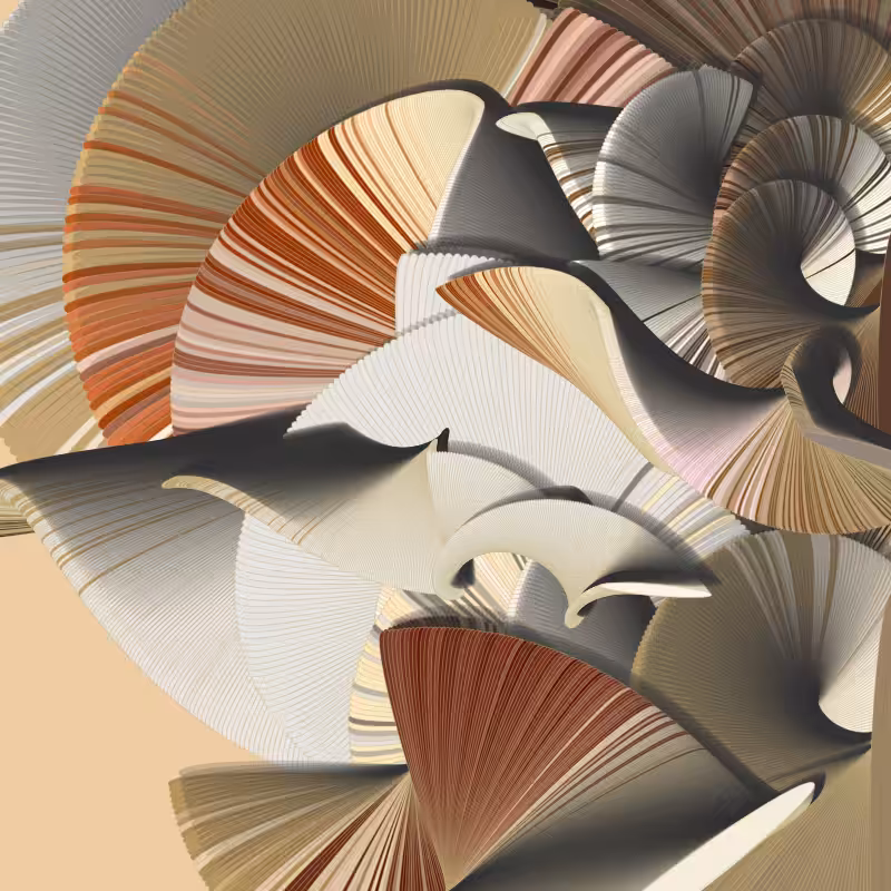 Seashells #36