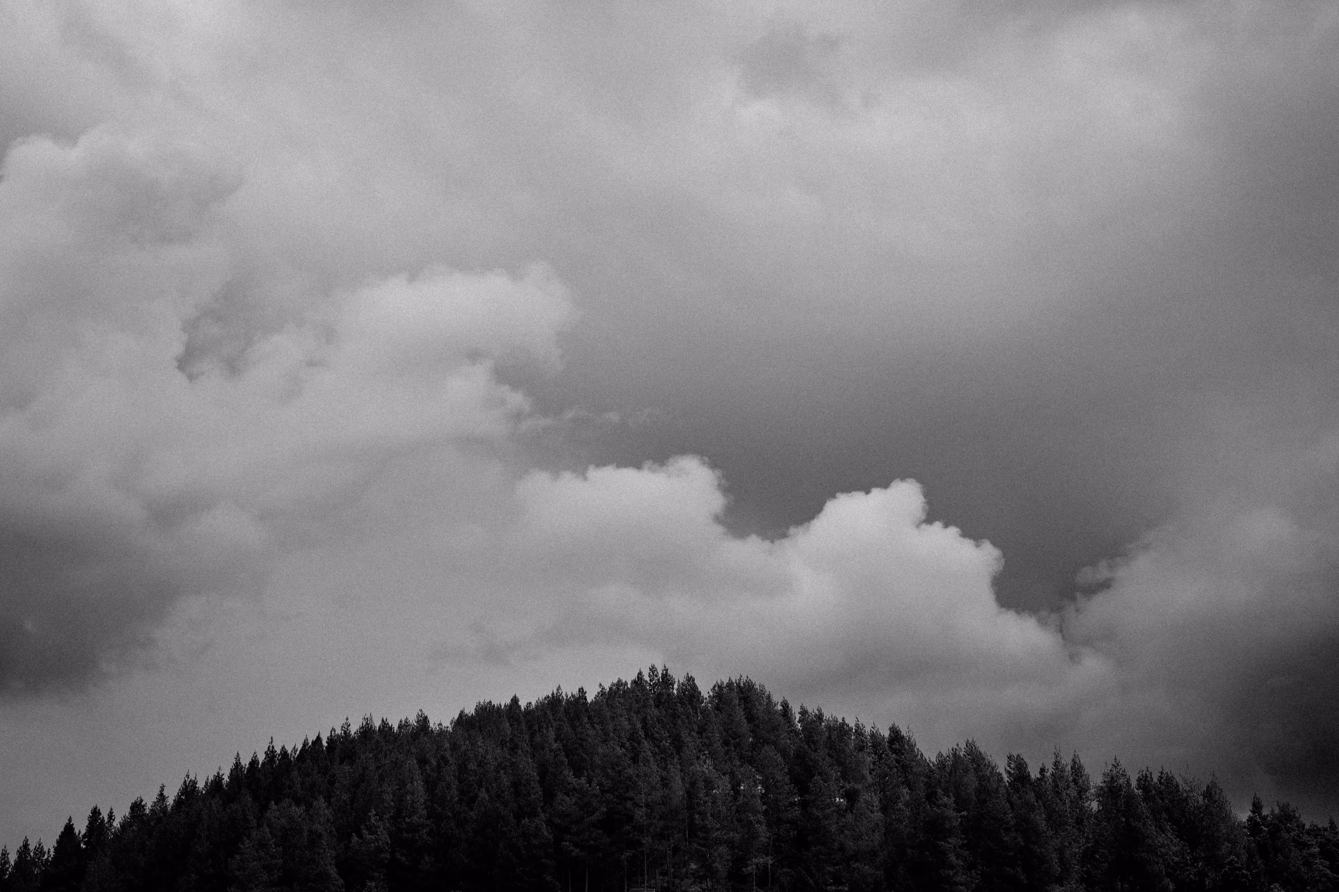 Pine Mountain