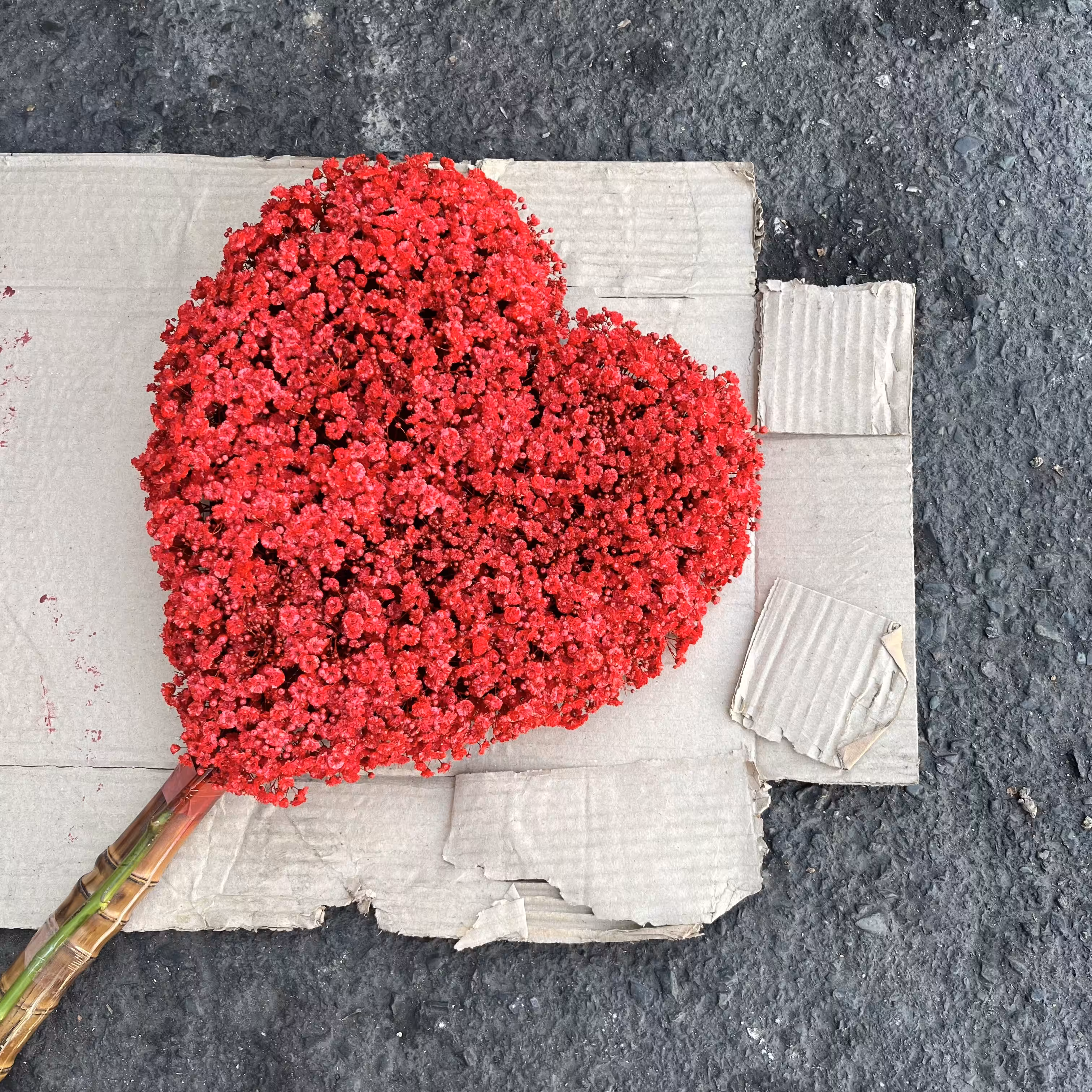 Red heart 