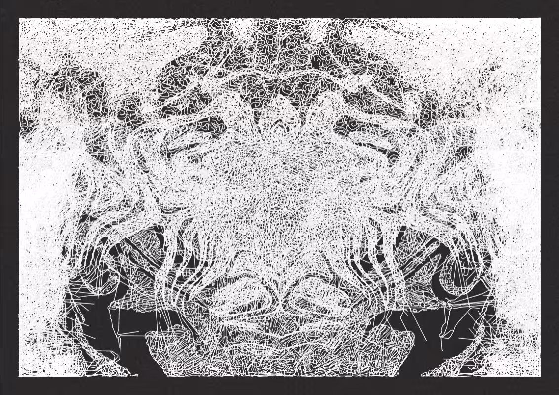Plottable Mandelglitch #97
