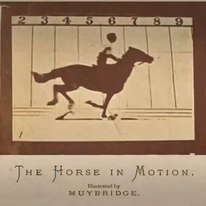 The Horse in Motion