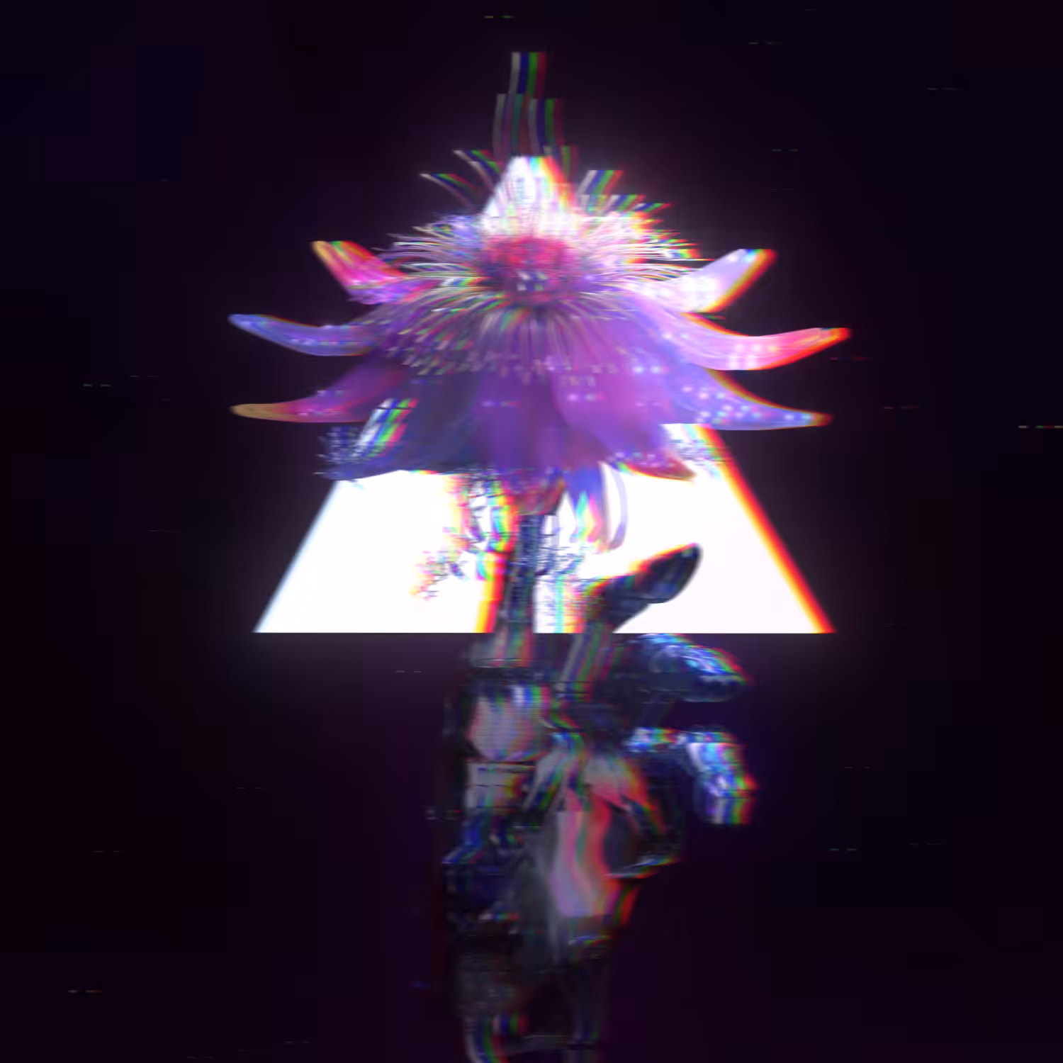 CRYPTO BLOOM 1111