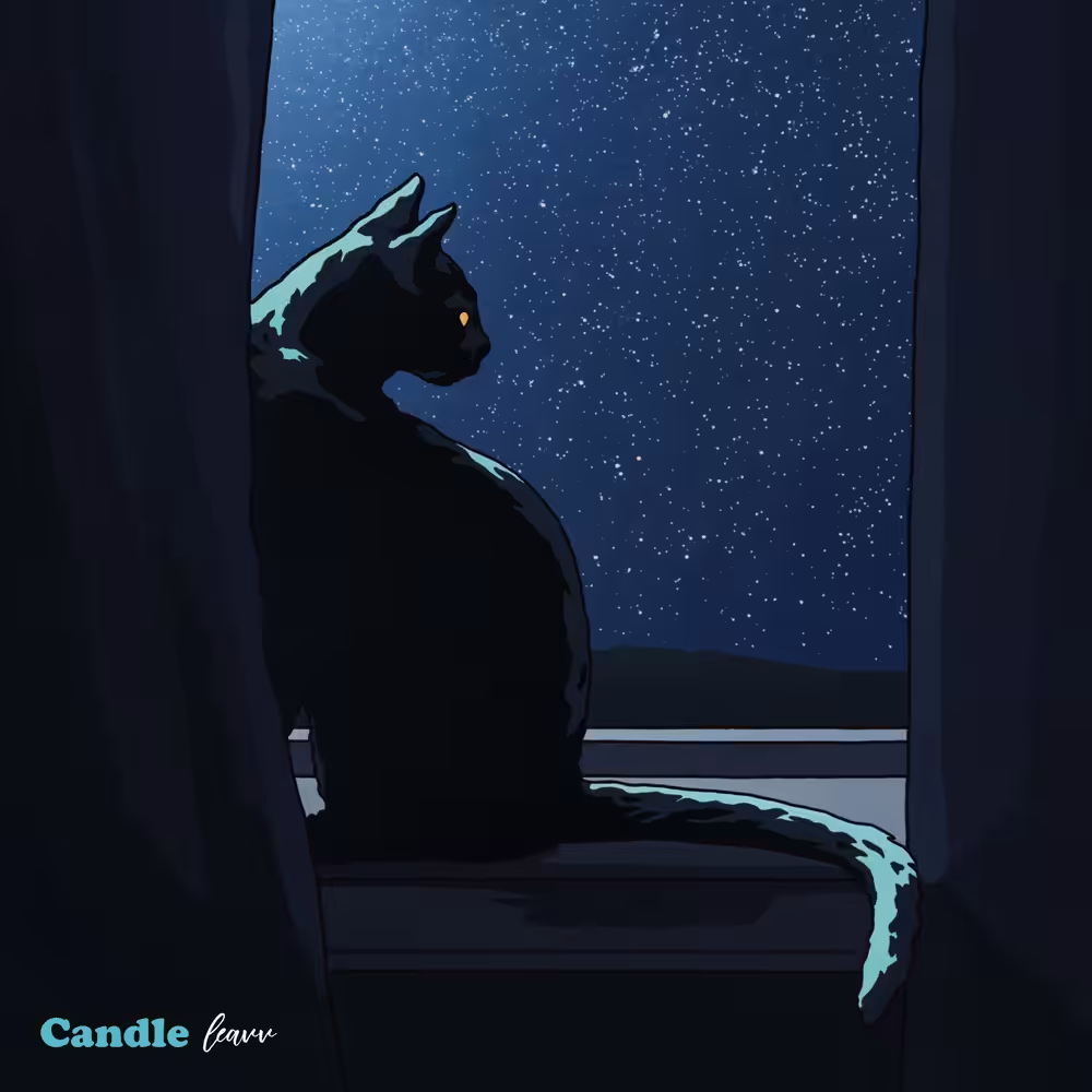leavv - Candle