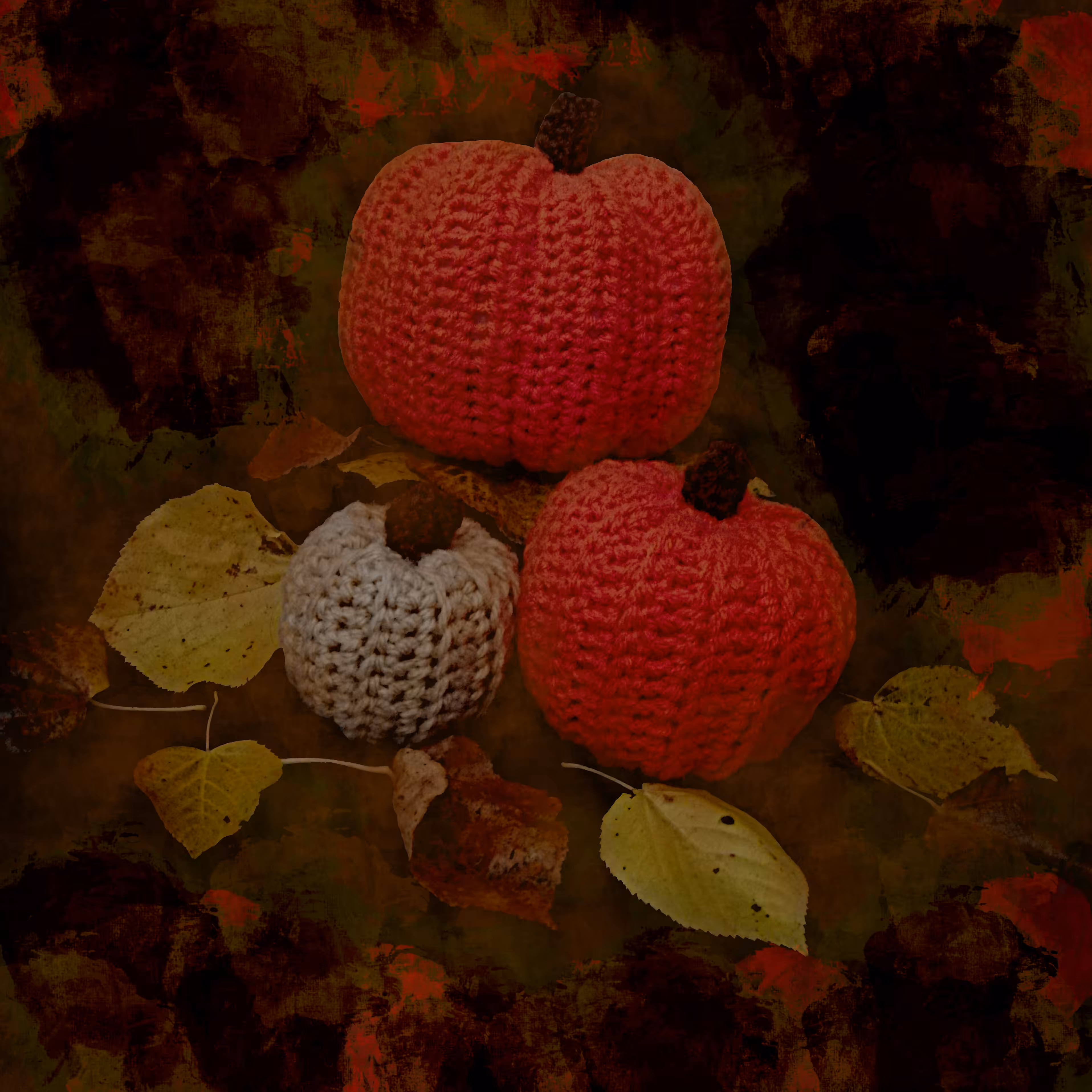 Pumpkin Patch #01