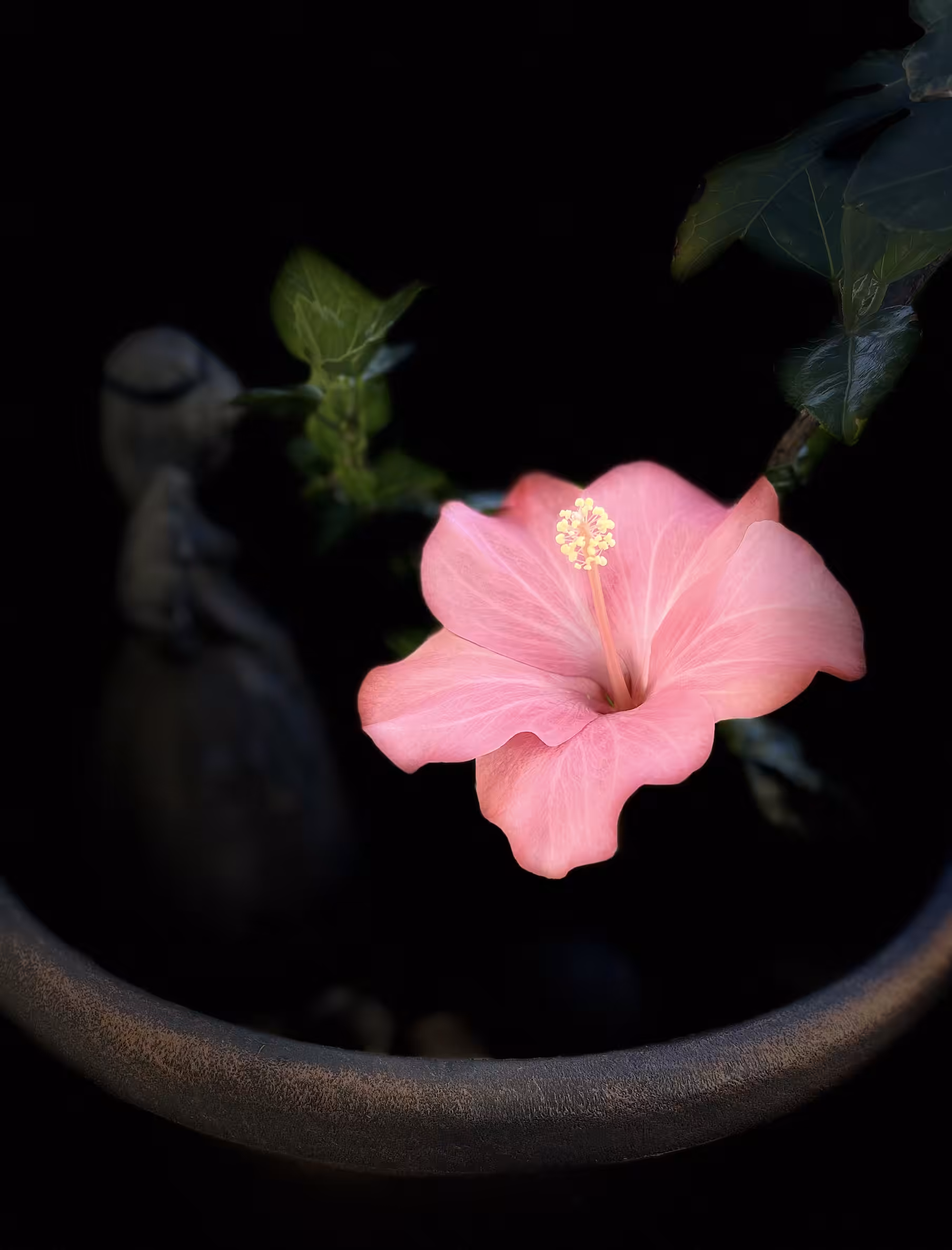flower time - شکوفه