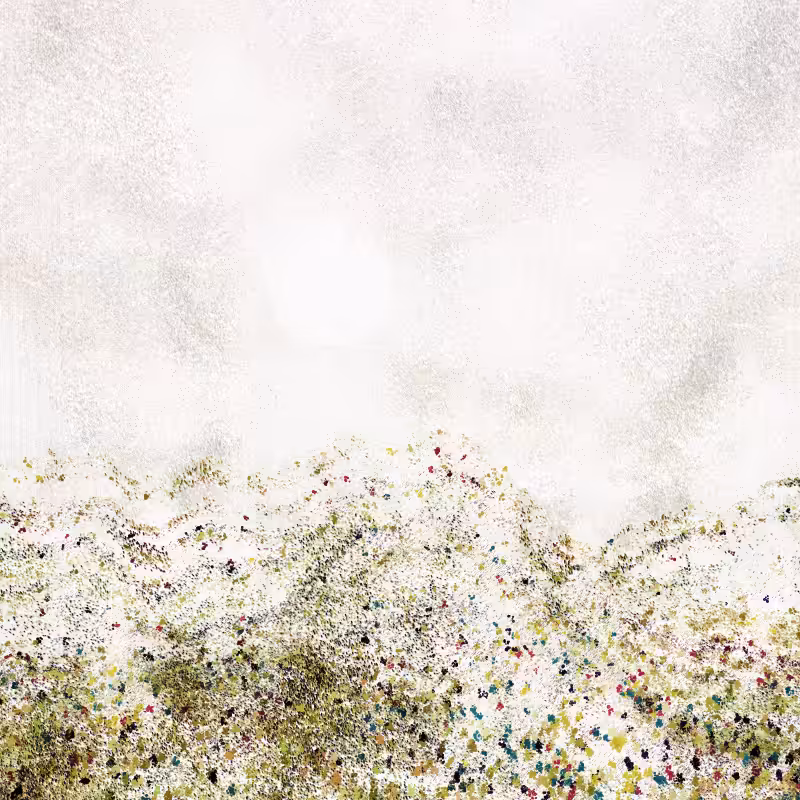 Cold Mountain #215