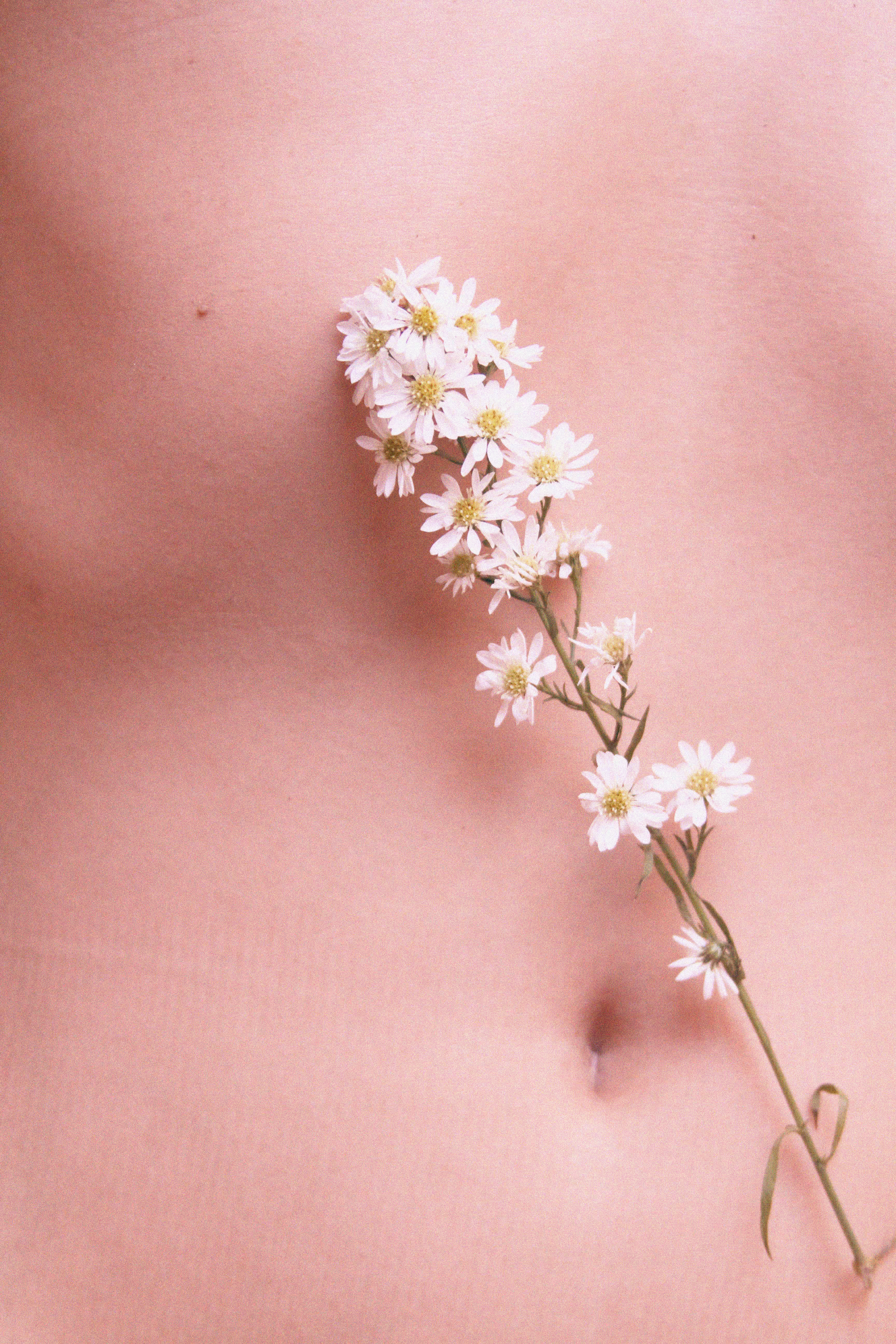 Flora 