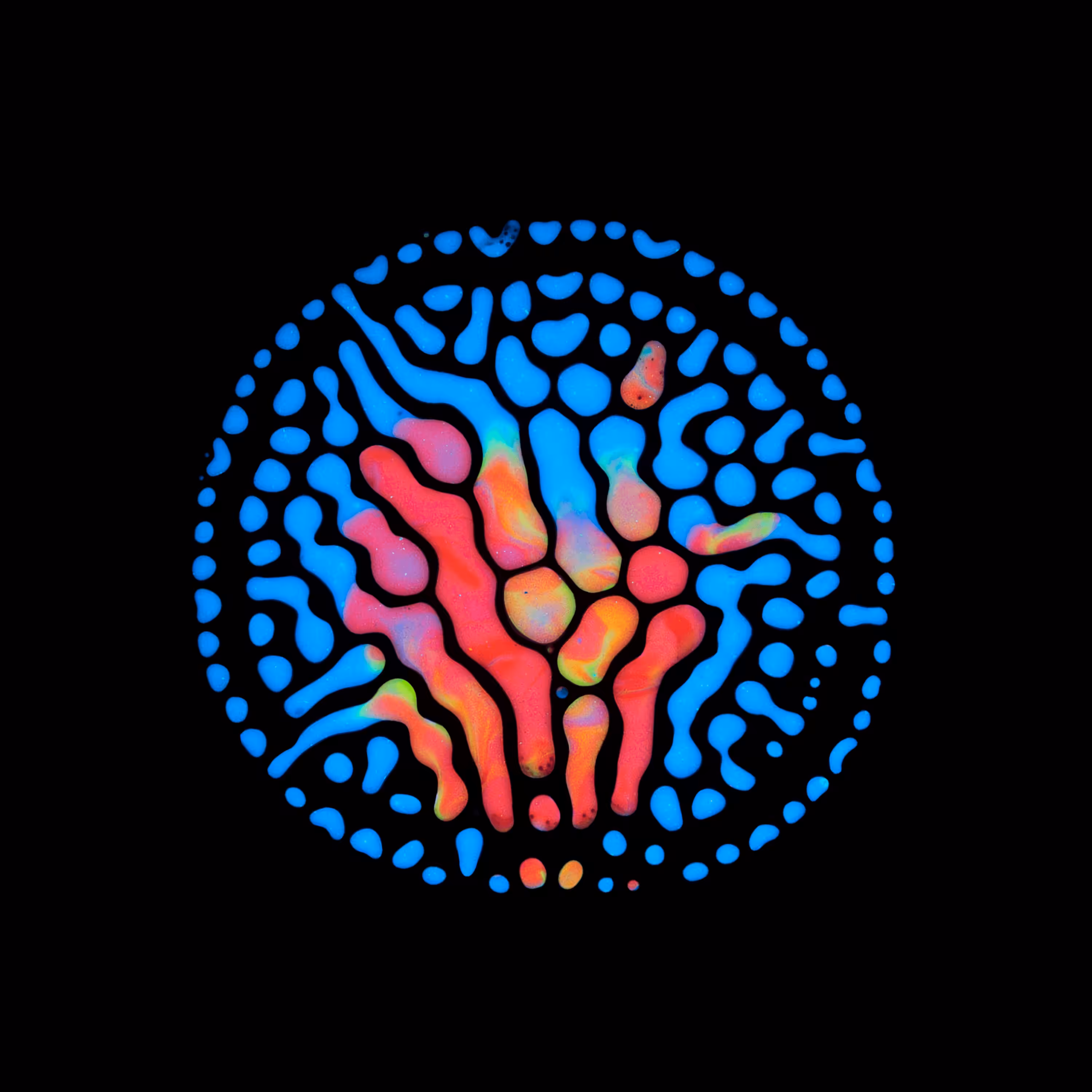 Haematopoiesis #91