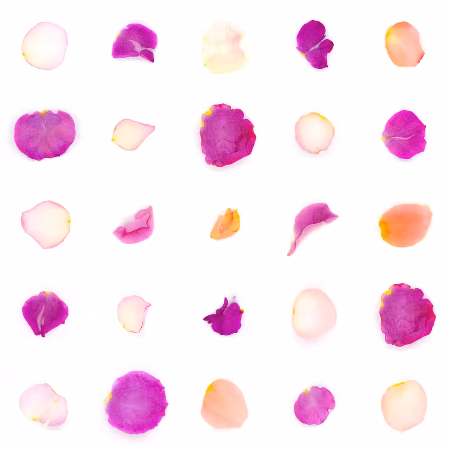 Infinite Petals 5x5#21065