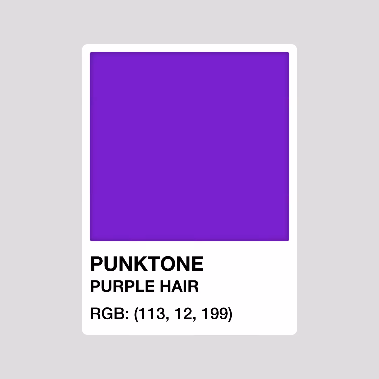PUNKTONE PURPLE HAIR