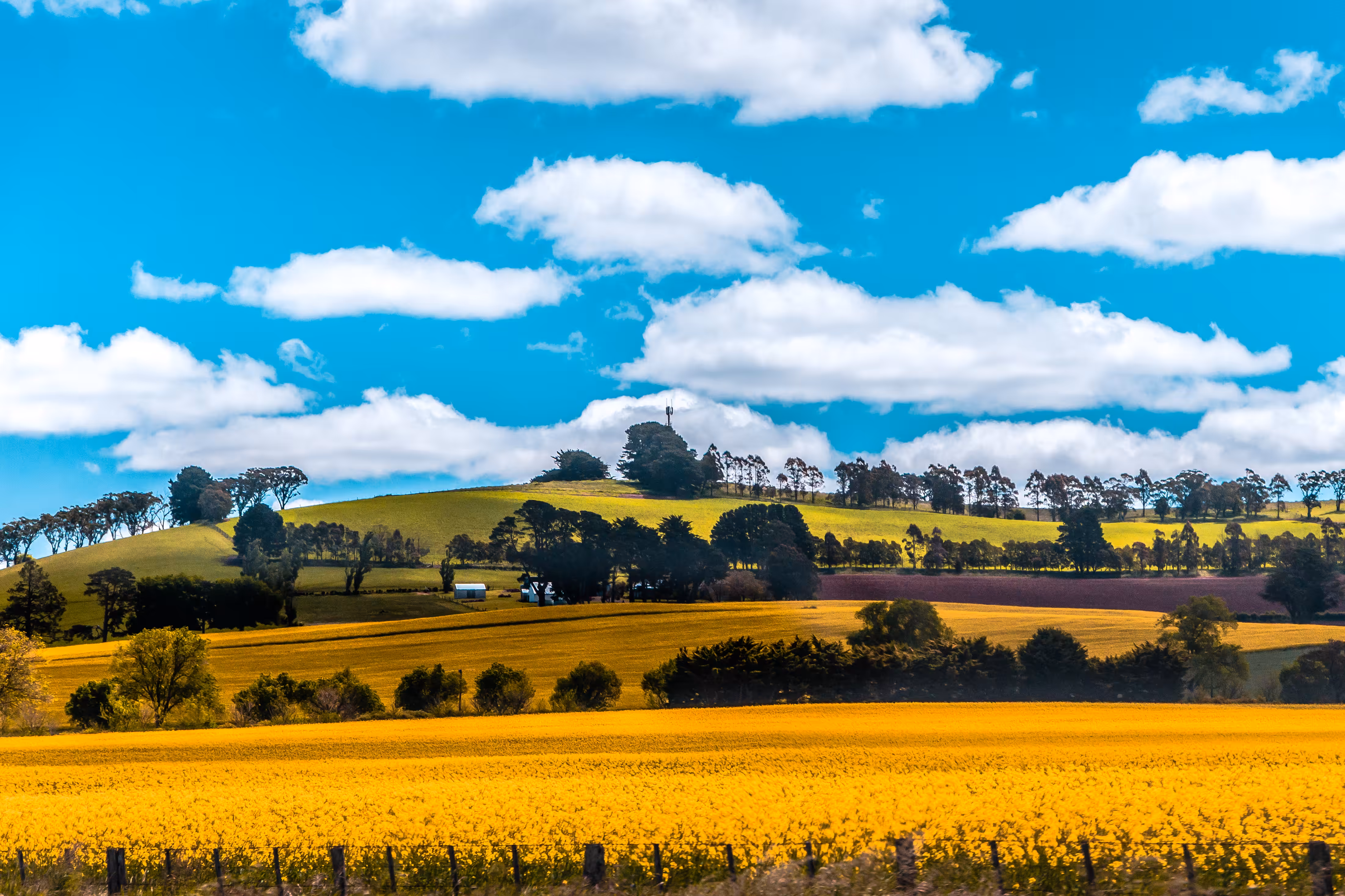 Country
