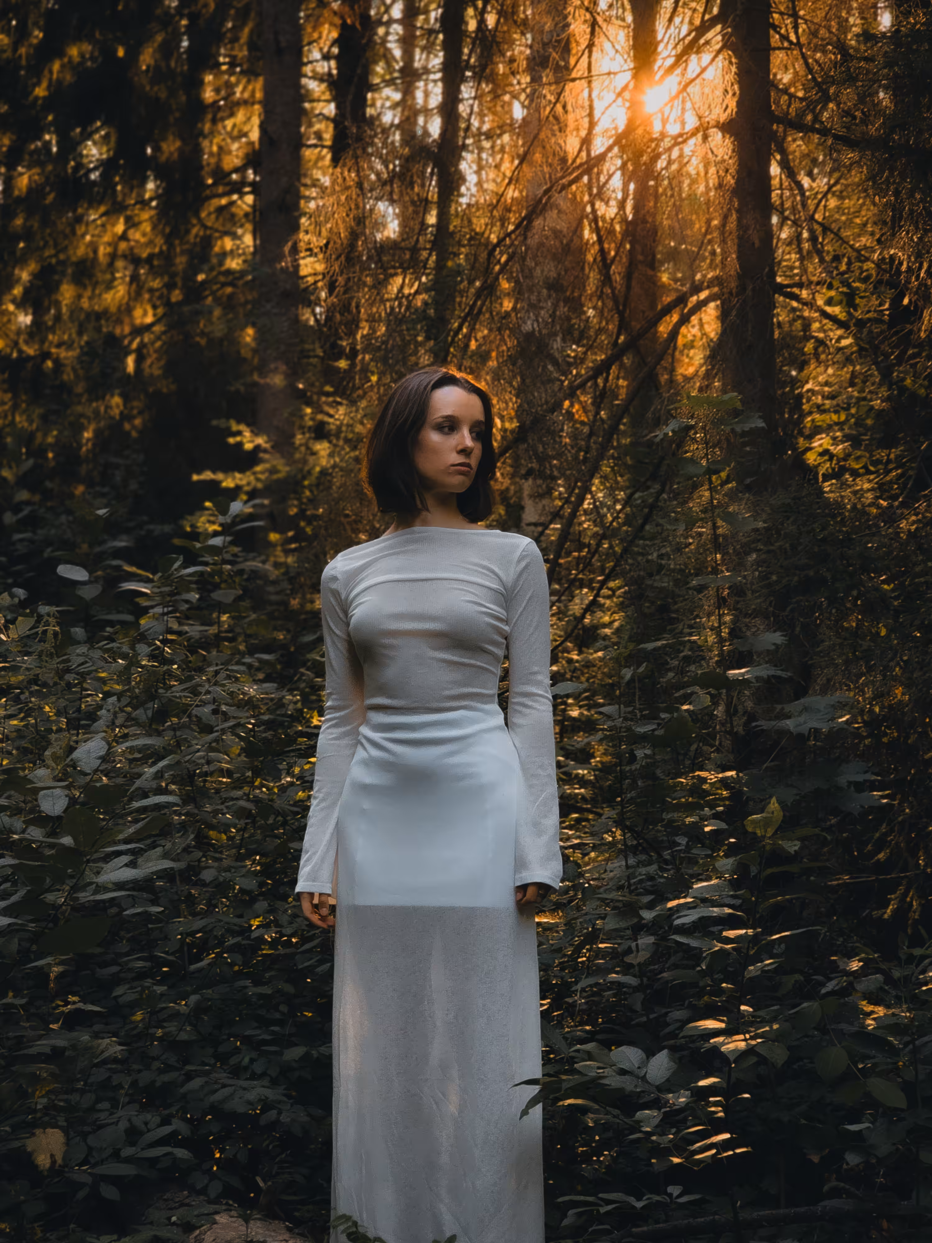 Inner forest: Point of Tangency