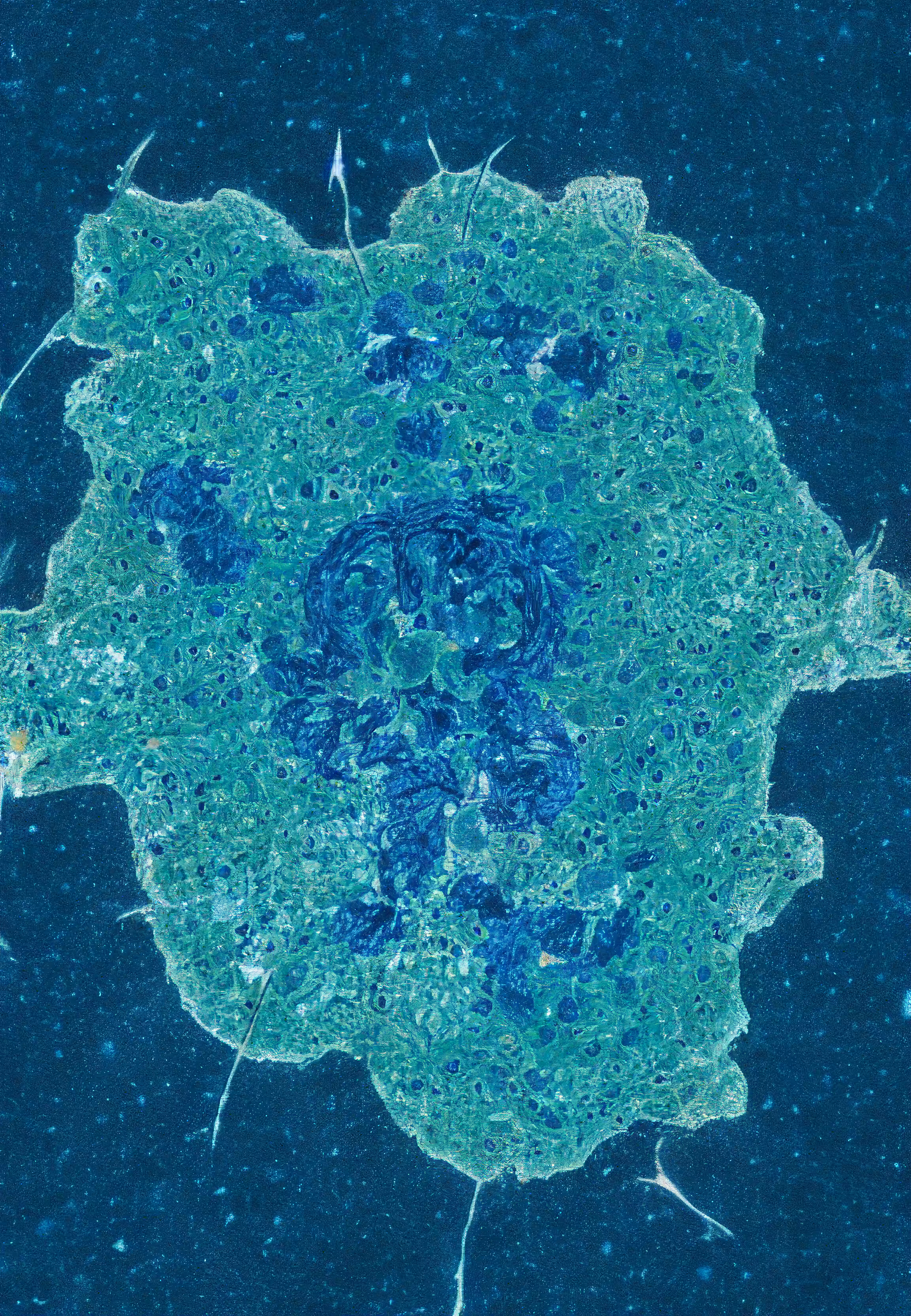 Histologia In Silico #294