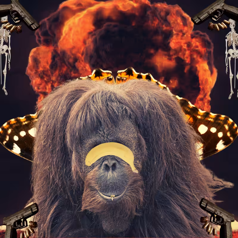 Blinded apes #53
