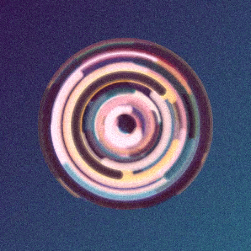 Wisp #350