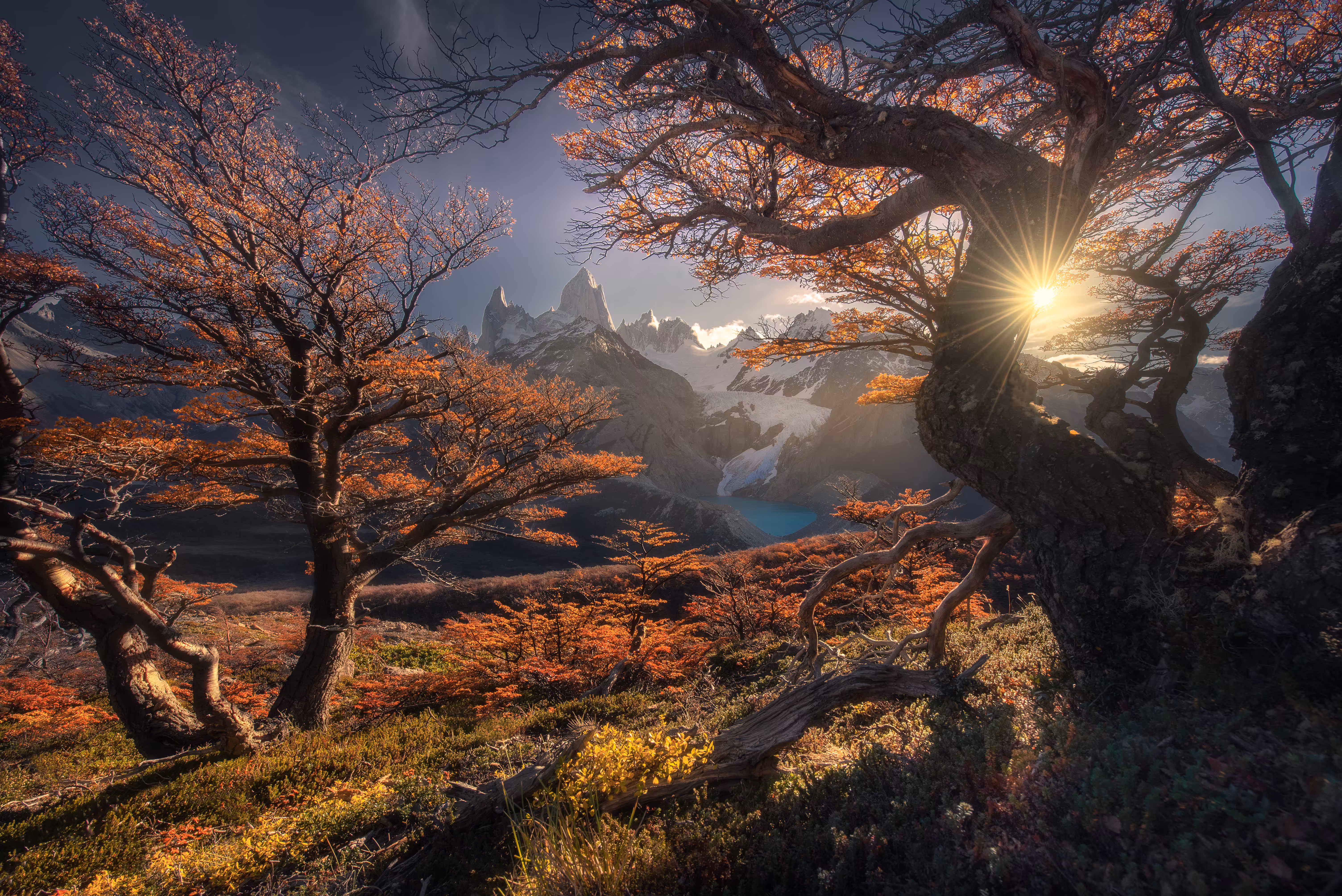 Patagonia Daydream 