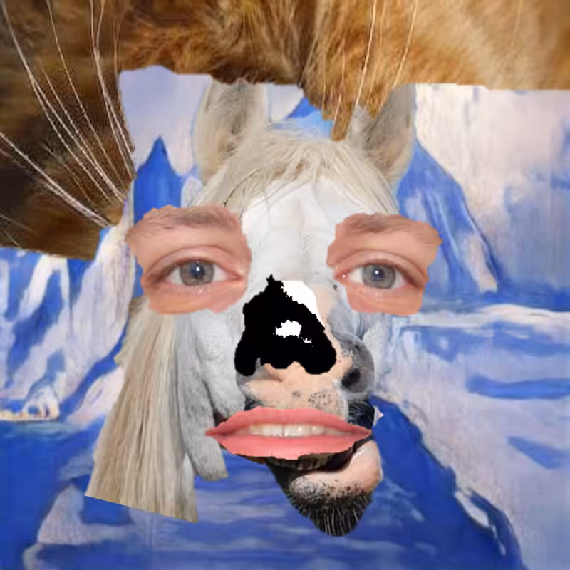 A collage of collages #1