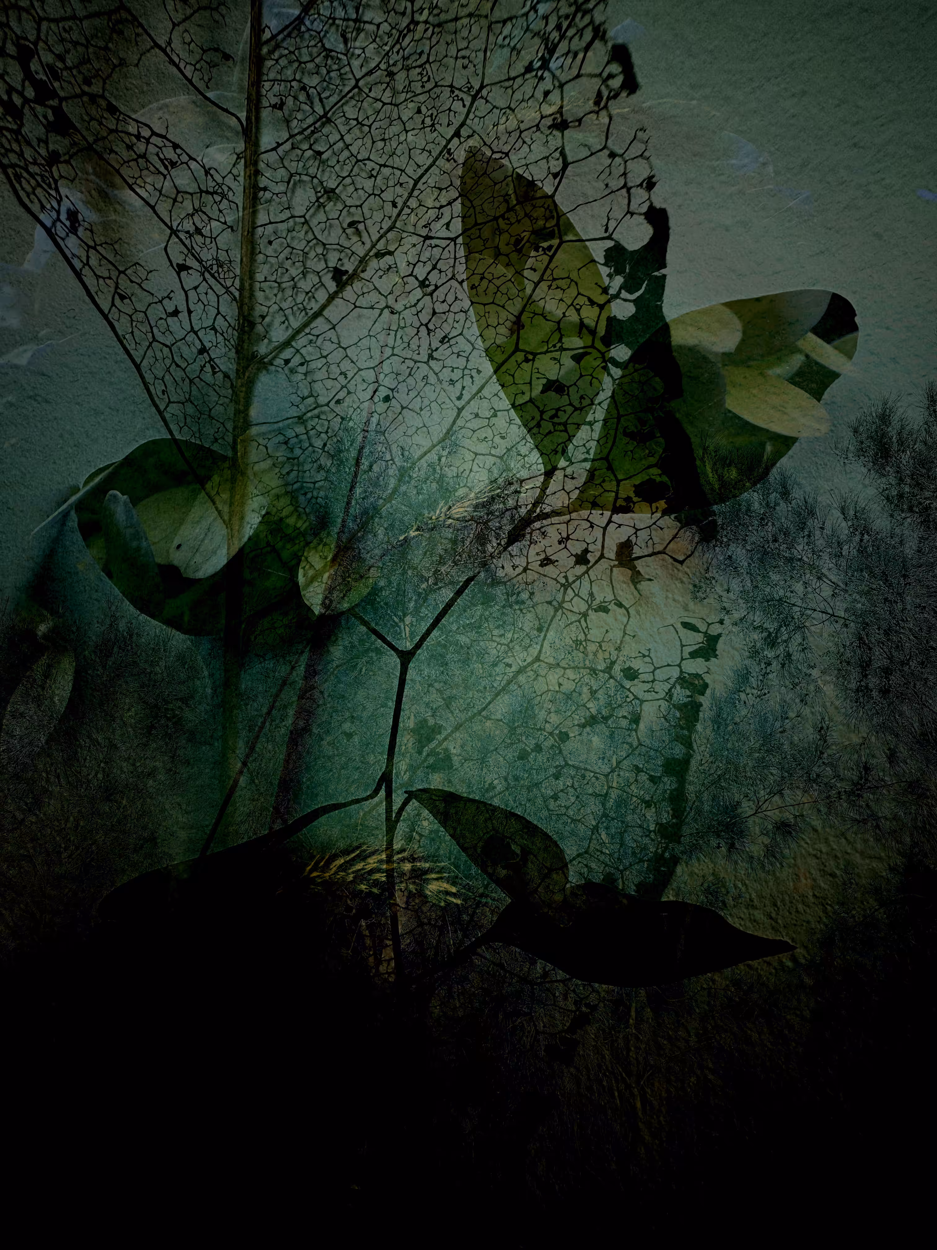 Verdigris Decay