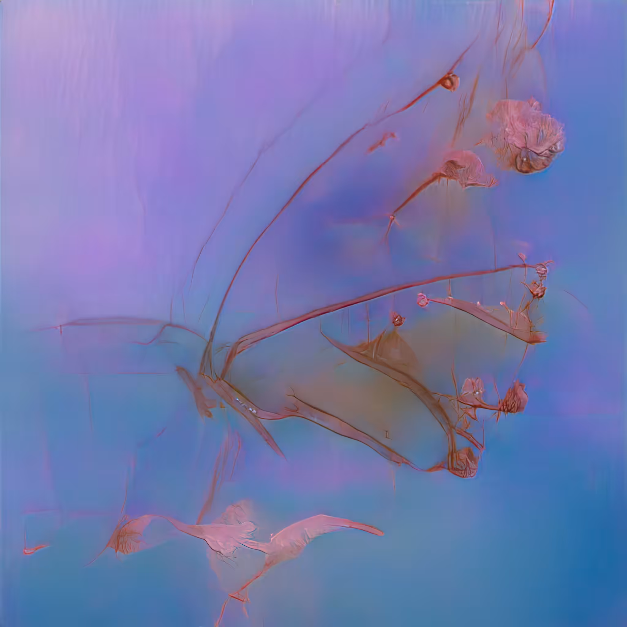 Emergent Finale 00122
