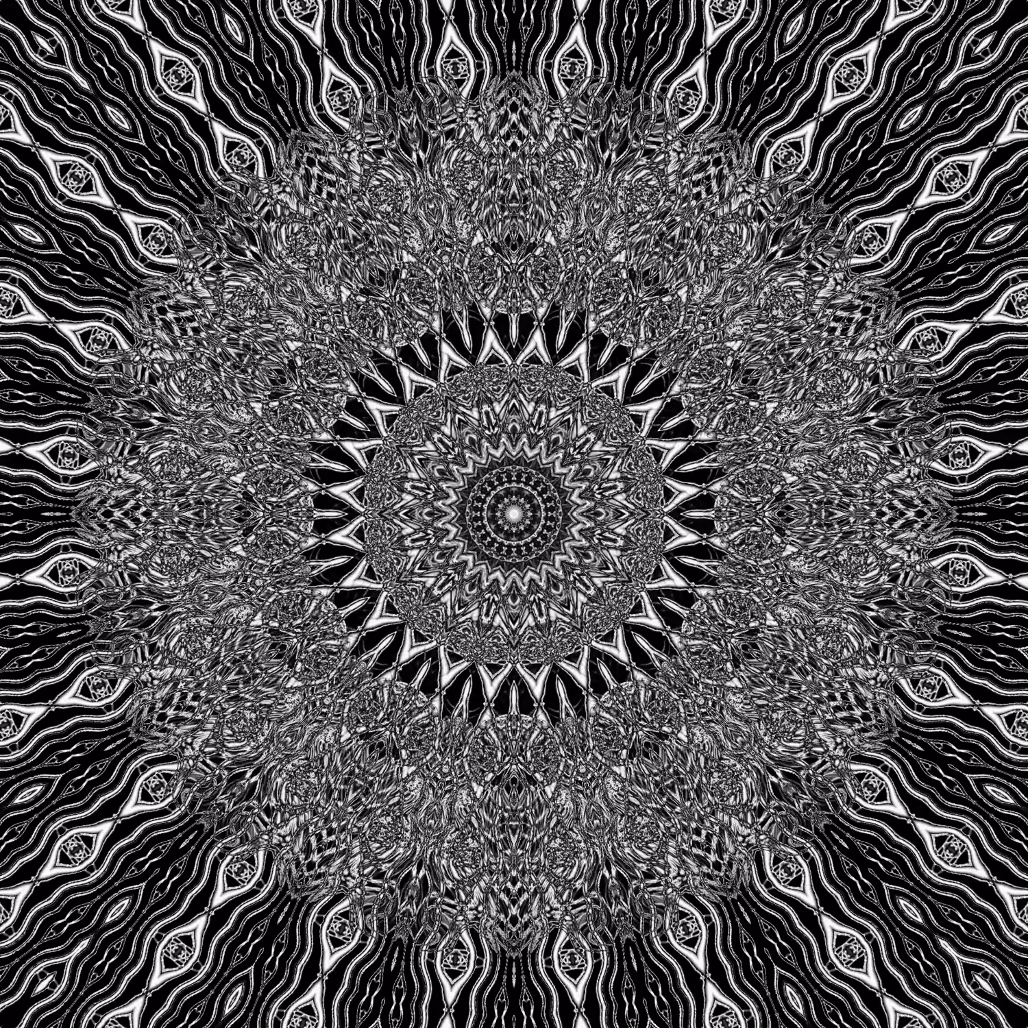 orbital warp 22