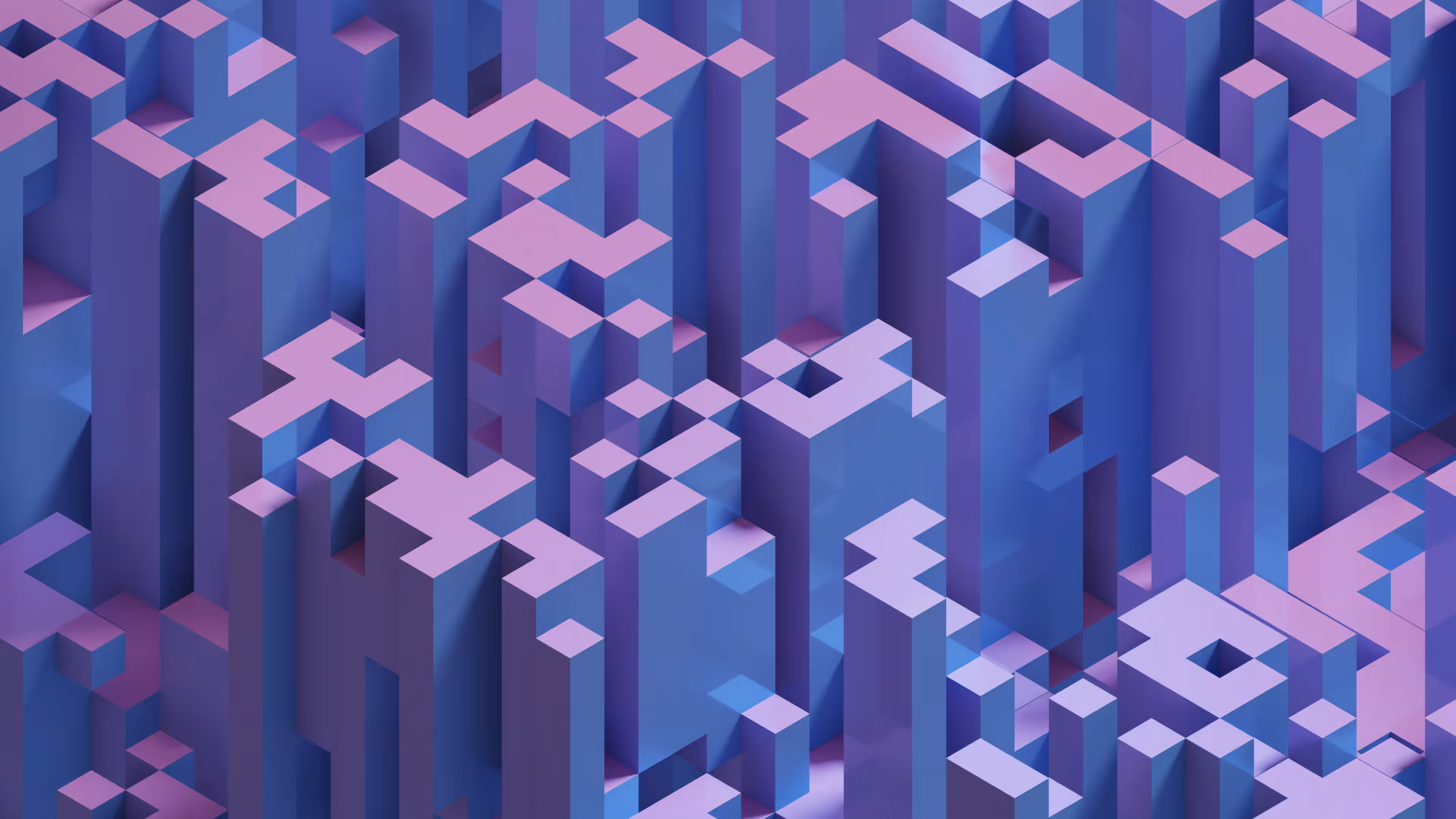 Boxtez 7