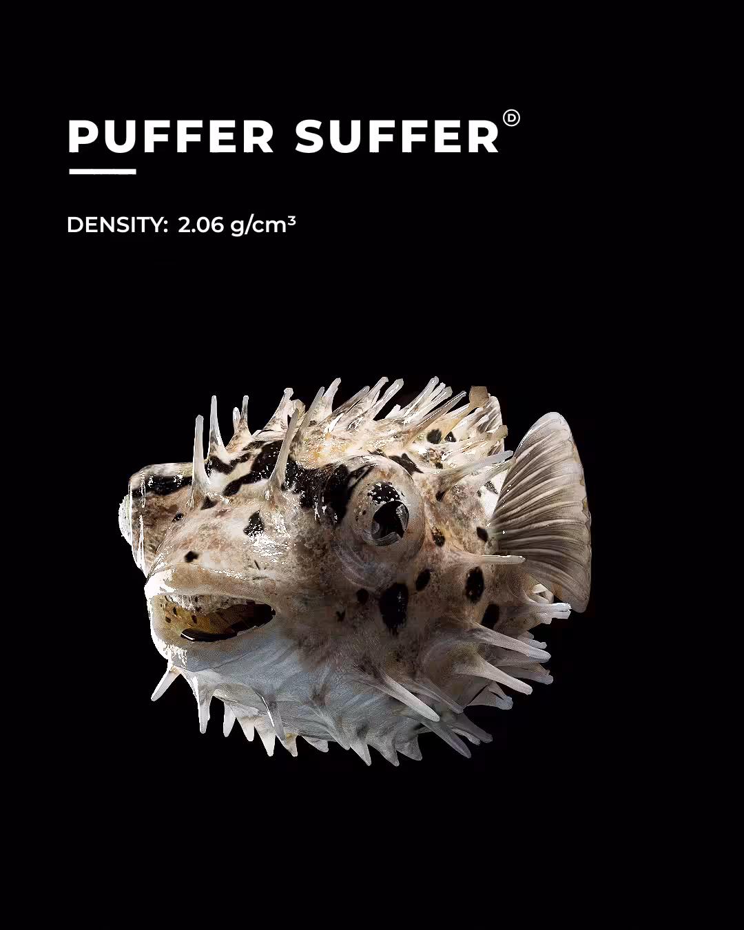 PUFFER SUFFER - DEFLATABLE #010