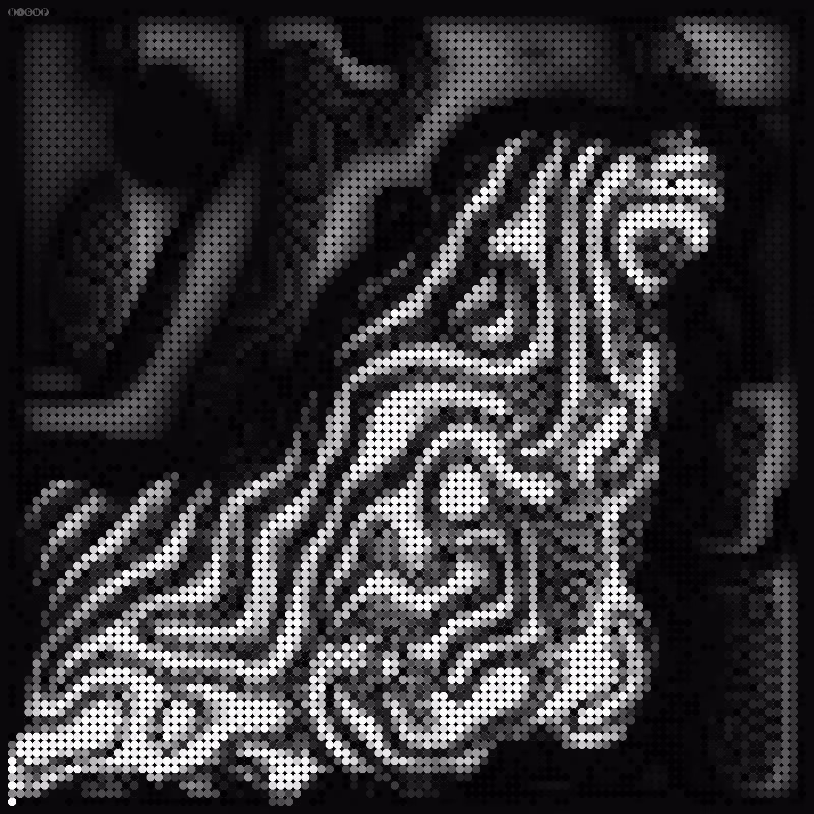 Zebra 3