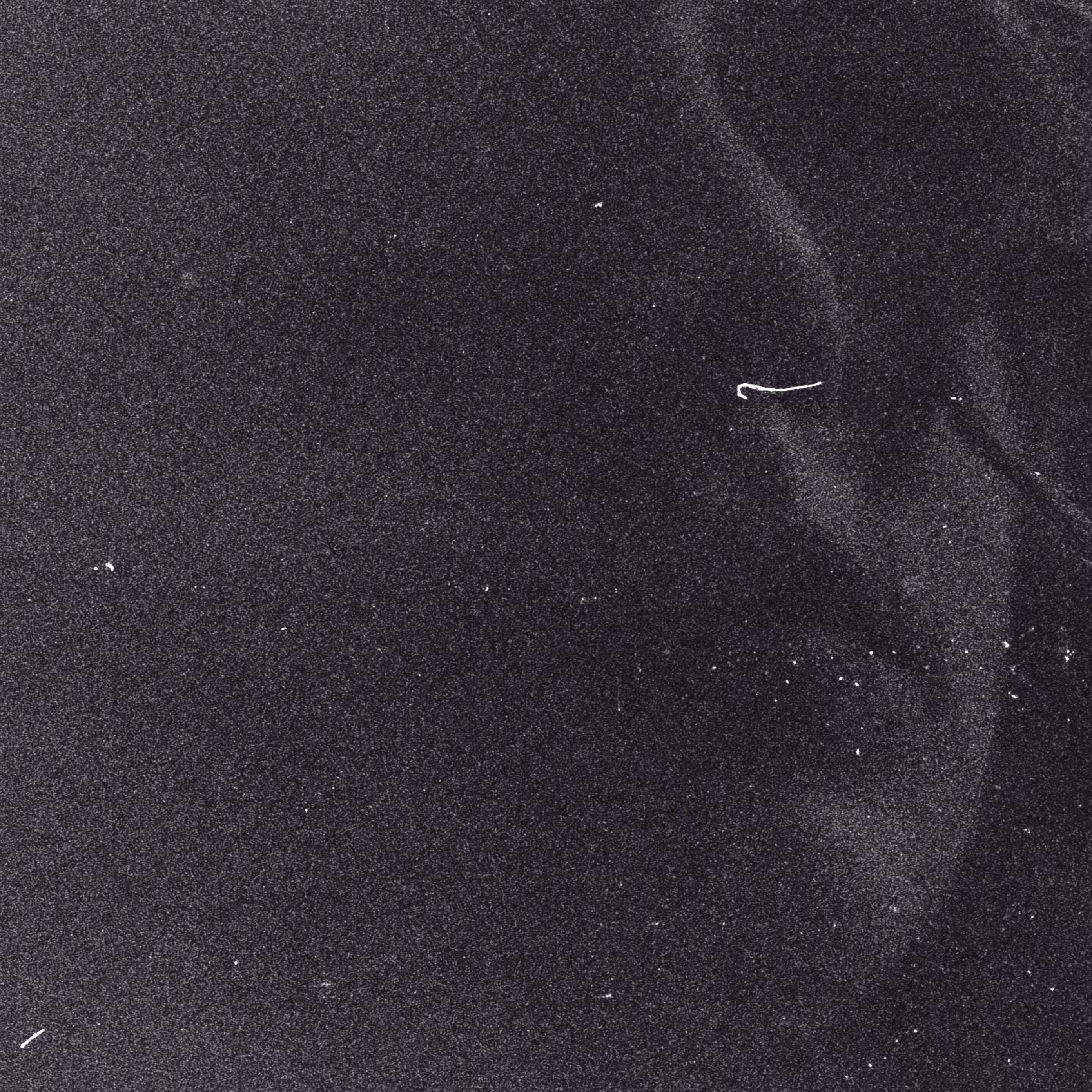 Analog photo (03)