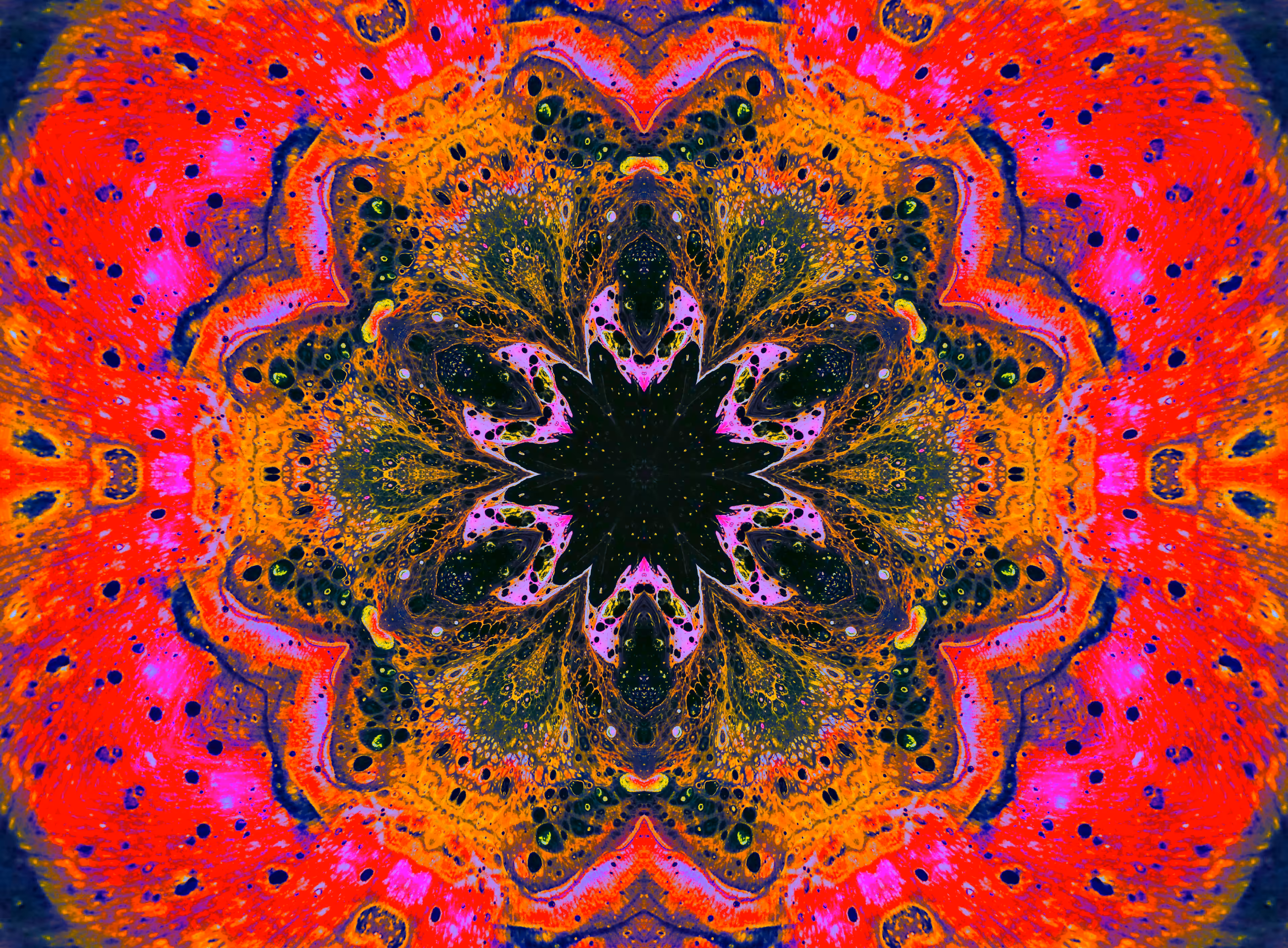 Star View