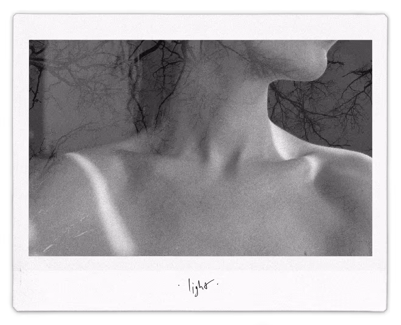 Light 