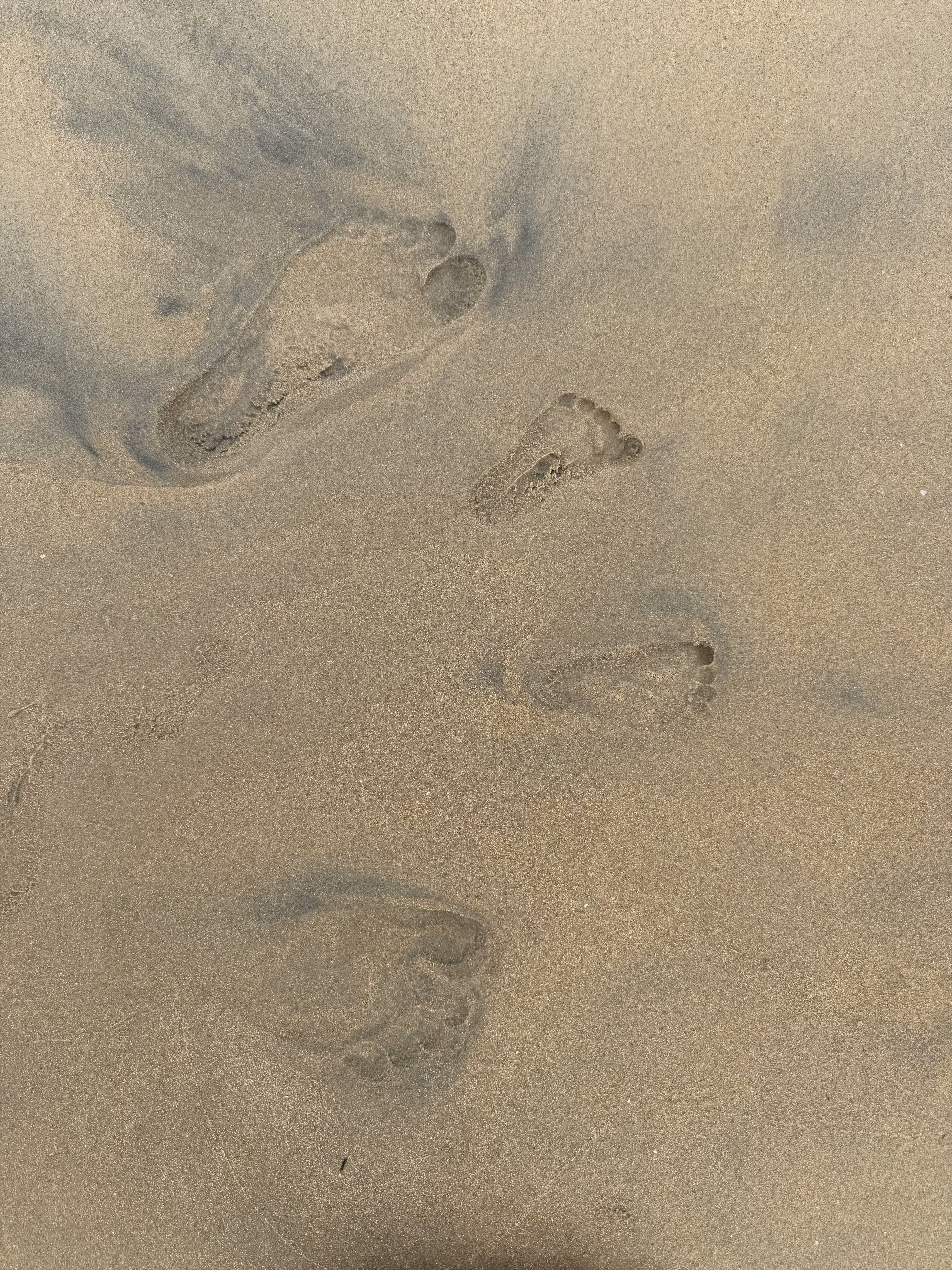 Only leave footprints 