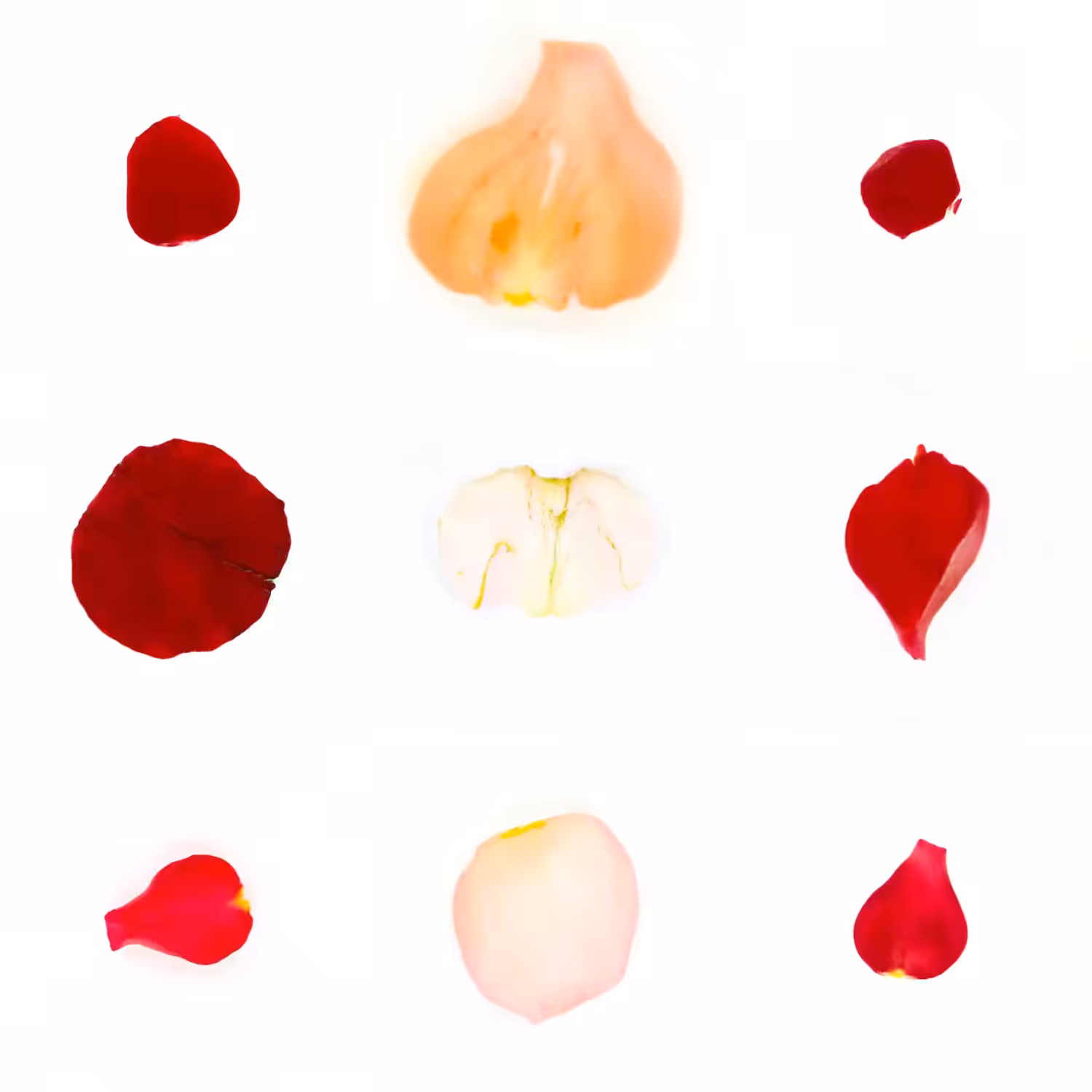 Infinite Petals 3x3#734