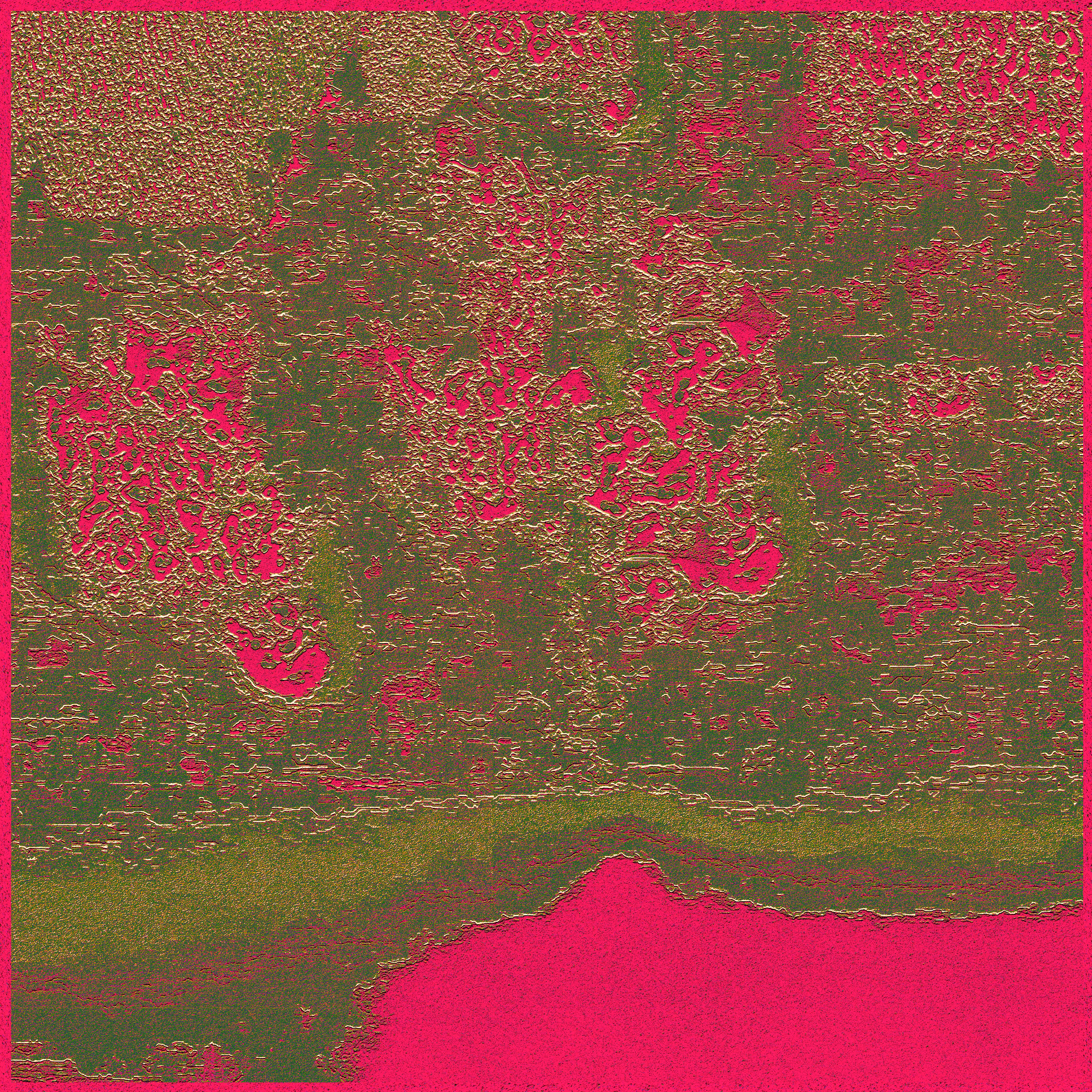 Wildflowers LXXII