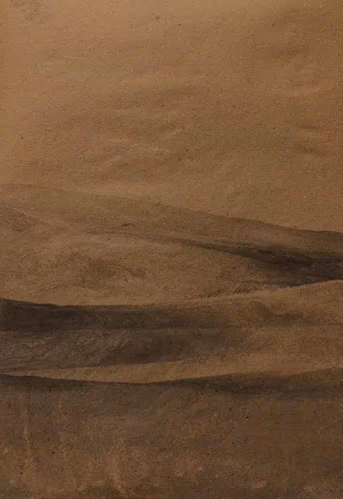 DESERT 13