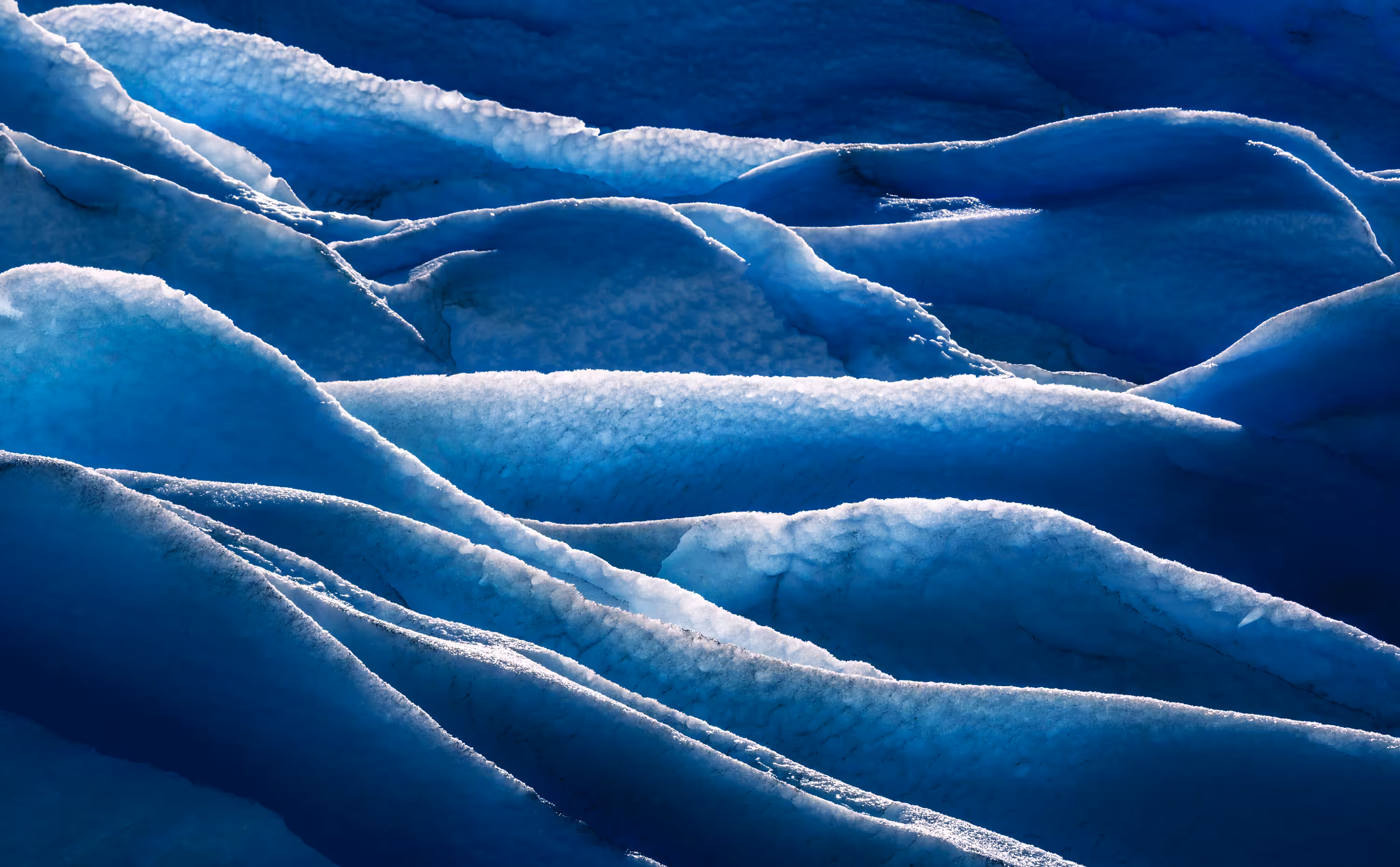 Earth Canvas #5