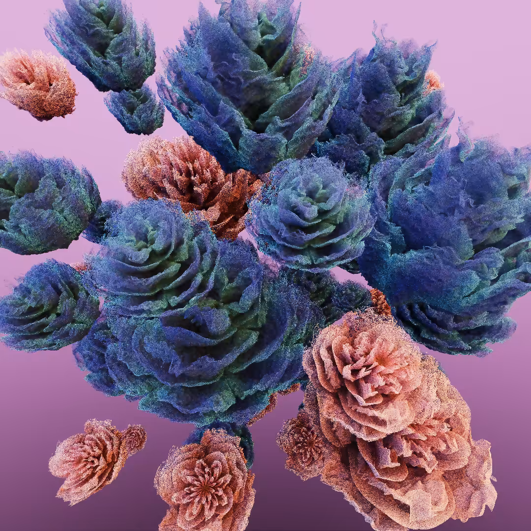 rosarium #71